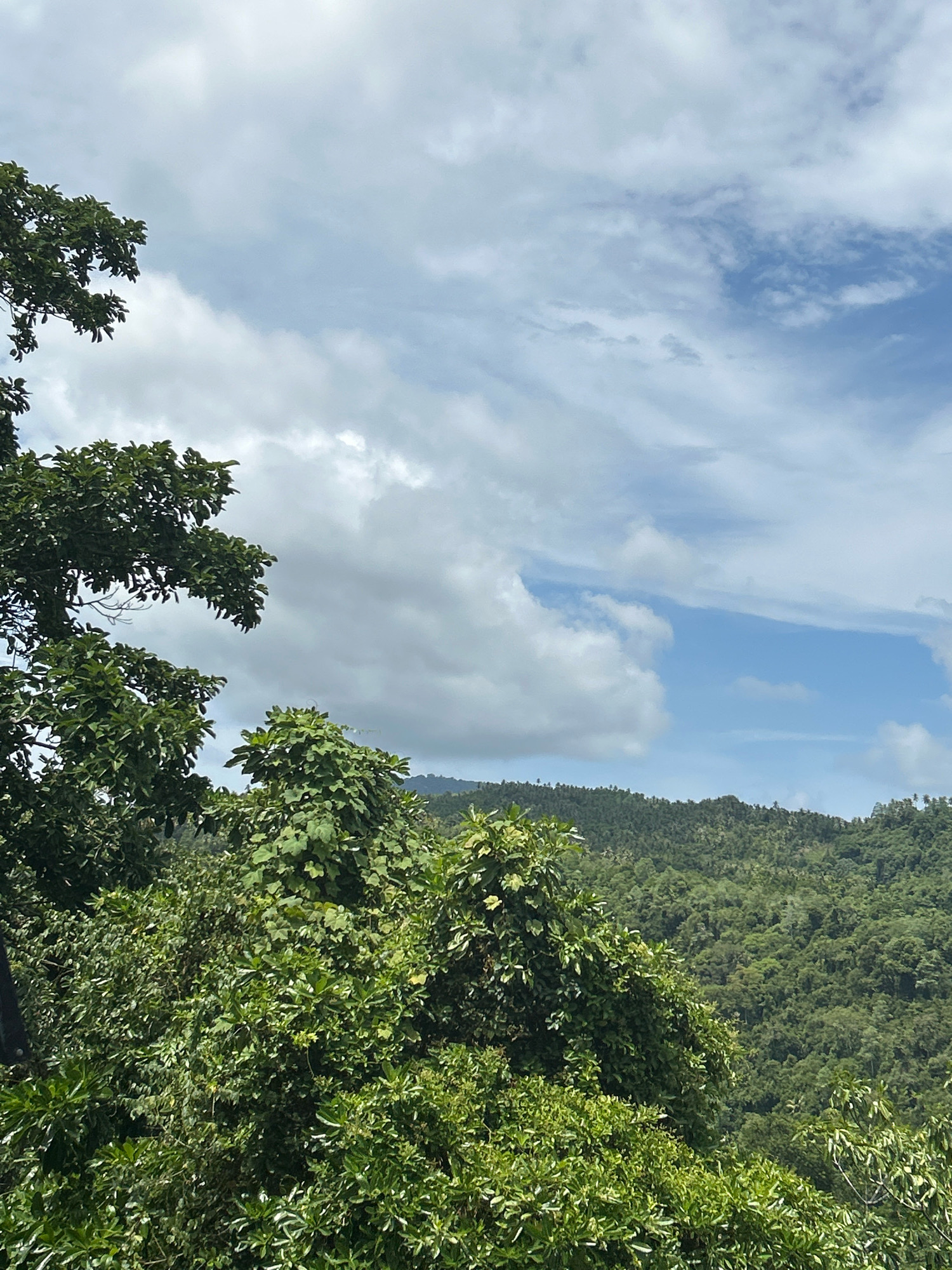 The image depicts a lush, verdant landscape in the city of Sabang, Indonesia. In the foreground, dense green foliage from trees obscures the lower portion of the scene. The trees are rich with leaves and branches, creating a natural, untamed appearance. Beyond the foreground vegetation, rolling hills covered in a dense forest stretch into the distance. The hills are covered with a multitude of trees, forming a textured, green carpet that rises towards the horizon. The sky above is a mix of blue and white, with scattered clouds that suggest a partly cloudy day. The overall impression is one of a tropical, natural environment, typical of the island landscapes found in Sabang.