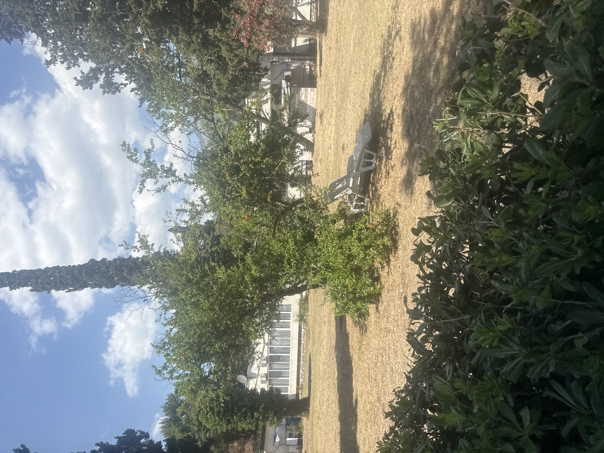 This media file shows a view of a garden with a building in the background. The garden is mostly covered in dry grass, with several trees and bushes. A white lounge chair is placed on the grass. In the background, a light-colored building with several windows is visible. The sky is blue with some white clouds. The image appears to be taken during the daytime, under sunny weather. The setting seems to be a residential or resort area, possibly in Budva, Montenegro, given the context provided. There are no people visible in the image. The scene is tranquil and suggests a relaxed atmosphere. There is no visible text in the image.