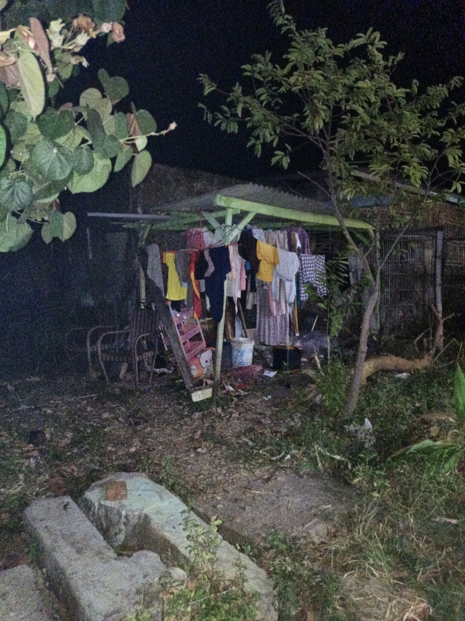 The image depicts an outdoor scene at night, likely in Cikal, Indonesia. In the foreground, two concrete blocks are positioned on the ground, partially covered by grass and debris. To the left, a leafy plant with large, rounded leaves is visible. In the midground, a makeshift clothesline is set up under a green-roofed shelter supported by wooden posts. Various articles of clothing, including shirts and pants, are hanging on the line. A red ladder leans against the shelter, and a bucket is placed nearby. Several chairs are visible, some appearing to be made of metal. A tree with a slender trunk and numerous branches with green leaves stands to the right of the shelter, partially obscuring a dark, corrugated metal fence in the background. The ground is covered with dry leaves, grass, and scattered litter. The overall impression is of a simple, lived-in outdoor space.