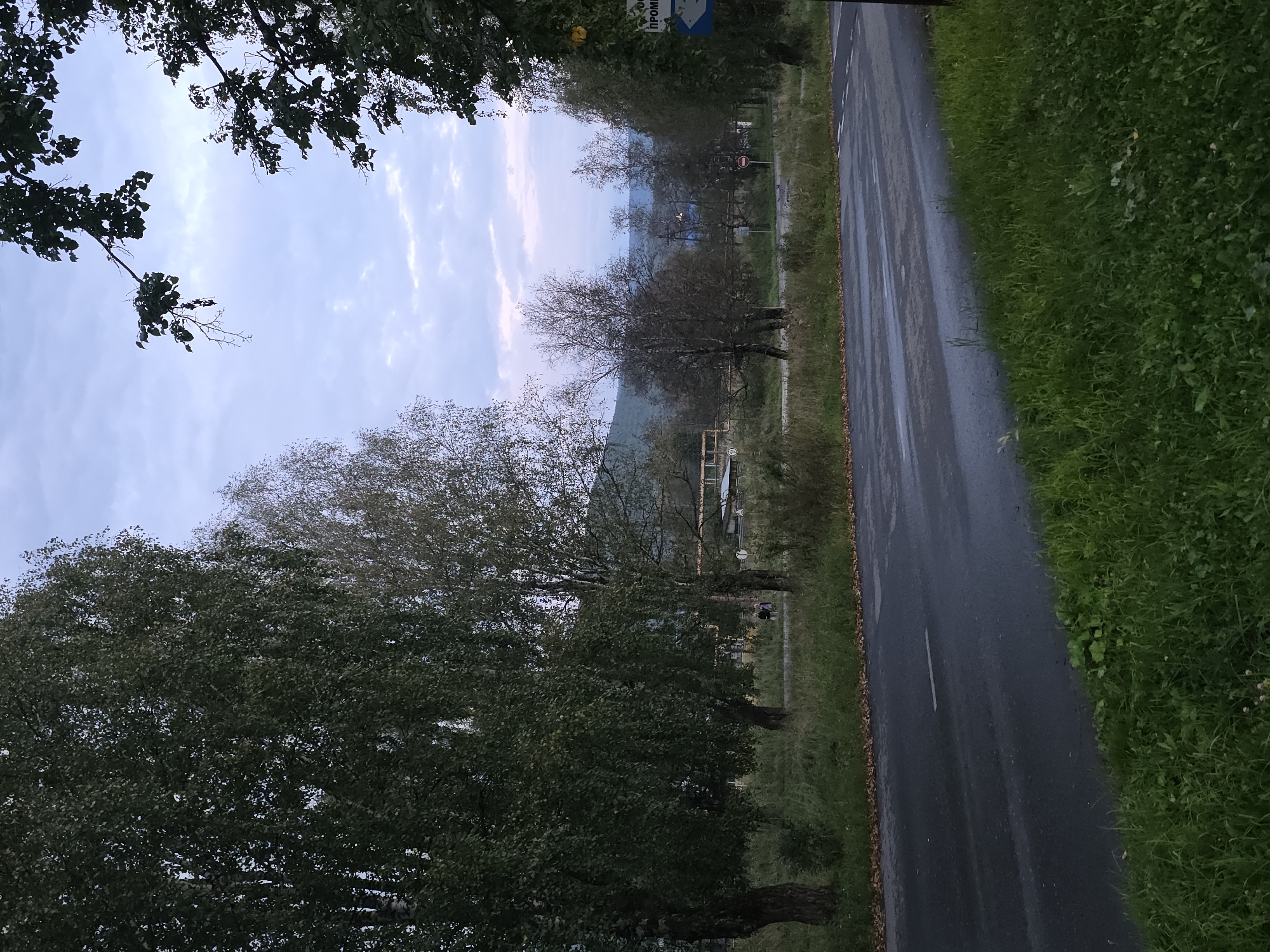 The image shows a paved road on the edge of a grassy area. On the left side of the road, there are several trees with green foliage. In the background, there are more trees and some low-lying buildings. The sky is overcast with clouds. There are two individuals walking on the side of the road in the mid-ground. A blue sign with white text is visible on the right side of the image, appearing to be a street sign. The scene depicts an outdoor environment, likely on the outskirts of a town or city.