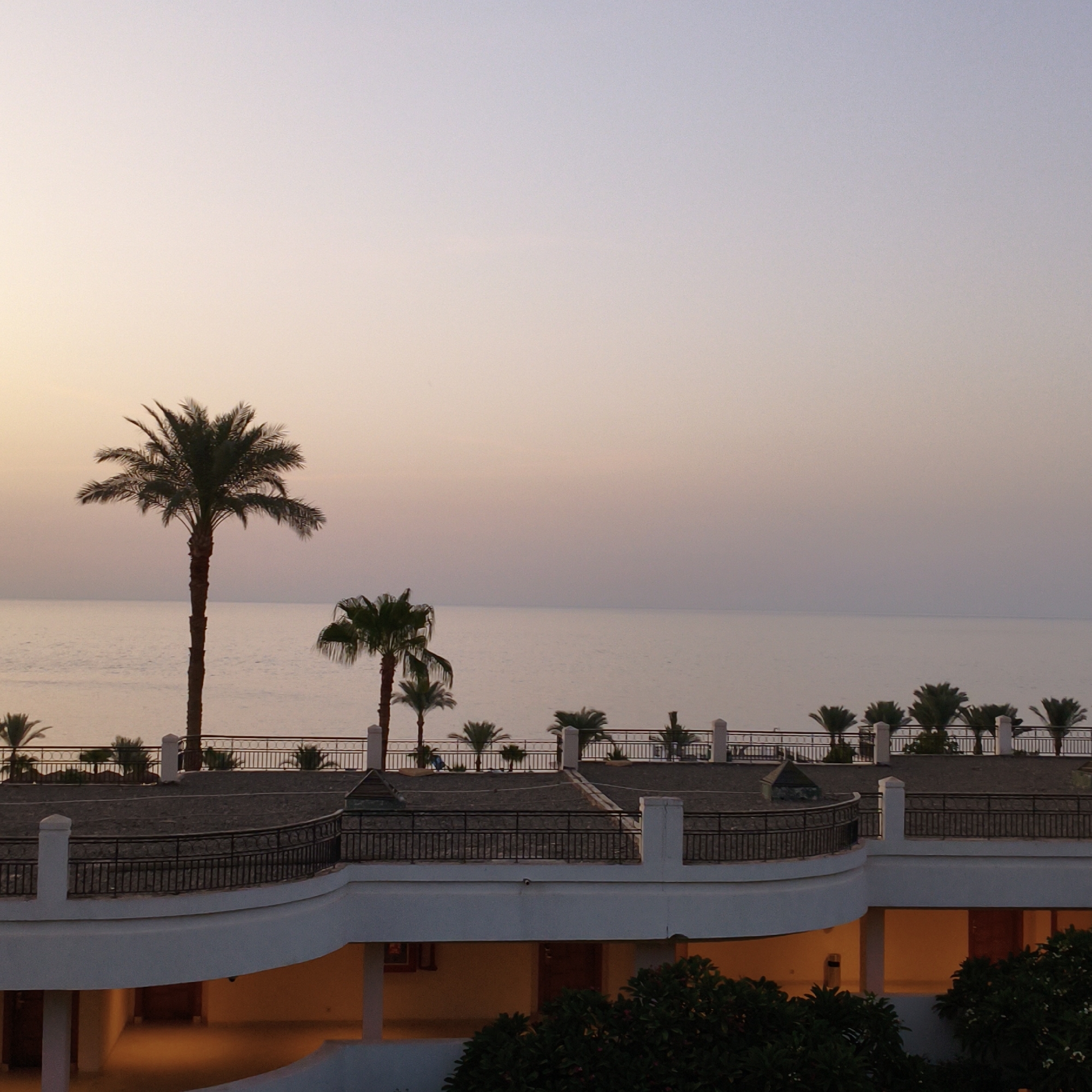 An outdoor, low-angle, eye-level, vertical, full shot captures a serene seascape at dusk, with palm trees silhouetted against the fading light. The sky exhibits a gradient of soft purple and pink hues, transitioning to a lighter tone towards the horizon. The calm sea mirrors the sky's colors, creating a tranquil atmosphere. In the foreground, a resort building with a curved white facade is visible, featuring multiple levels with balconies and railings. Several palm trees are scattered across the scene, with one tall palm tree dominating the left side of the frame, its fronds spread wide. The resort appears to be illuminated from within, casting a warm glow from its windows and doorways. The overall impression is one of a peaceful evening at a tropical resort by the sea.