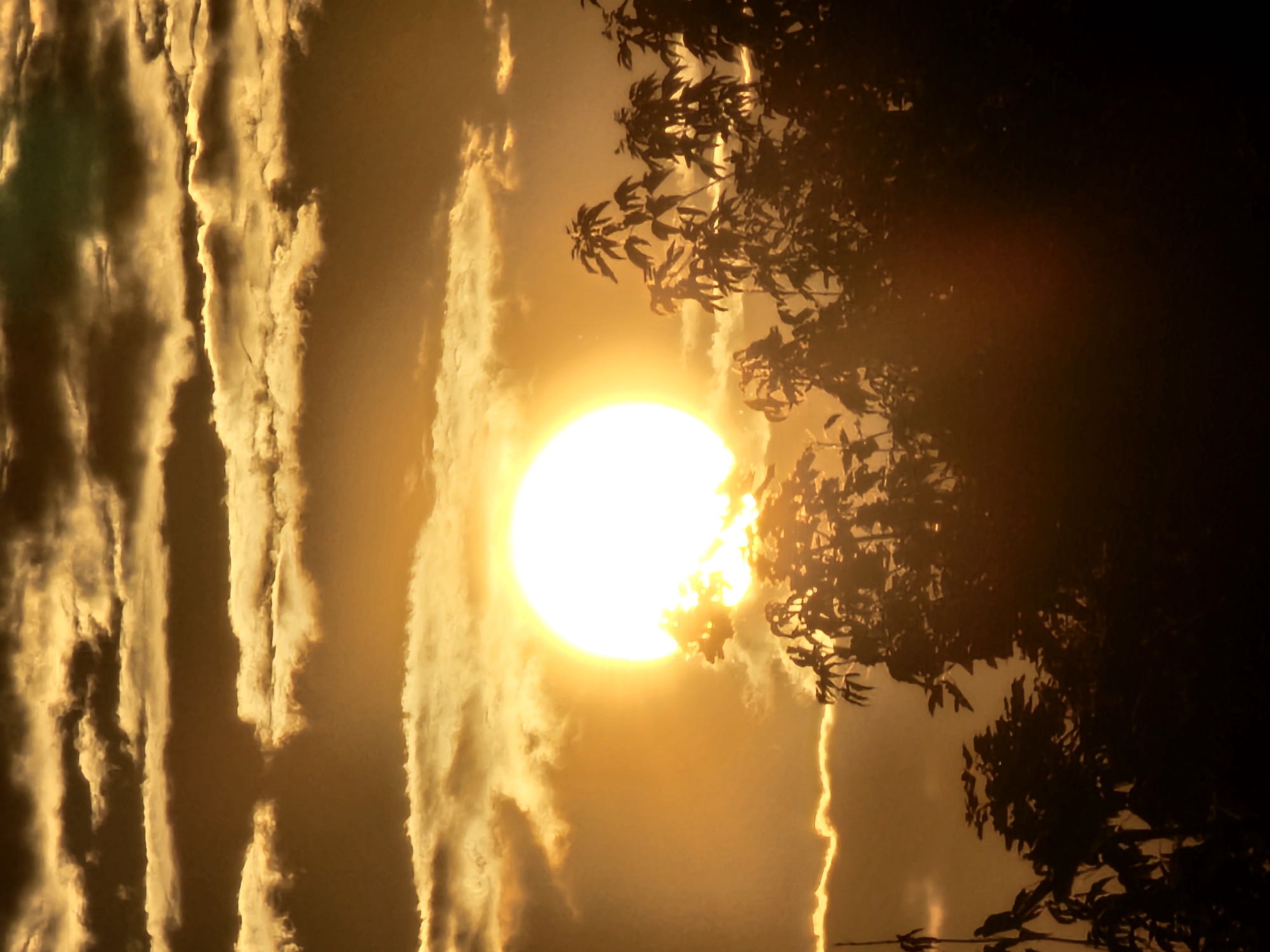The image depicts a sunset in Khimki, Russia. The sun, a large bright orb, is partially obscured by clouds, casting a warm golden glow across the sky. Silhouetted against the vibrant sunset are the tops of trees, their branches dark and intricate. The clouds are textured and layered, with some appearing brighter where they catch the sun's rays, and others darker, suggesting depth and distance. The overall atmosphere is serene and dramatic, characterized by the interplay of light and shadow. There are no people or visible human activity in the scene.