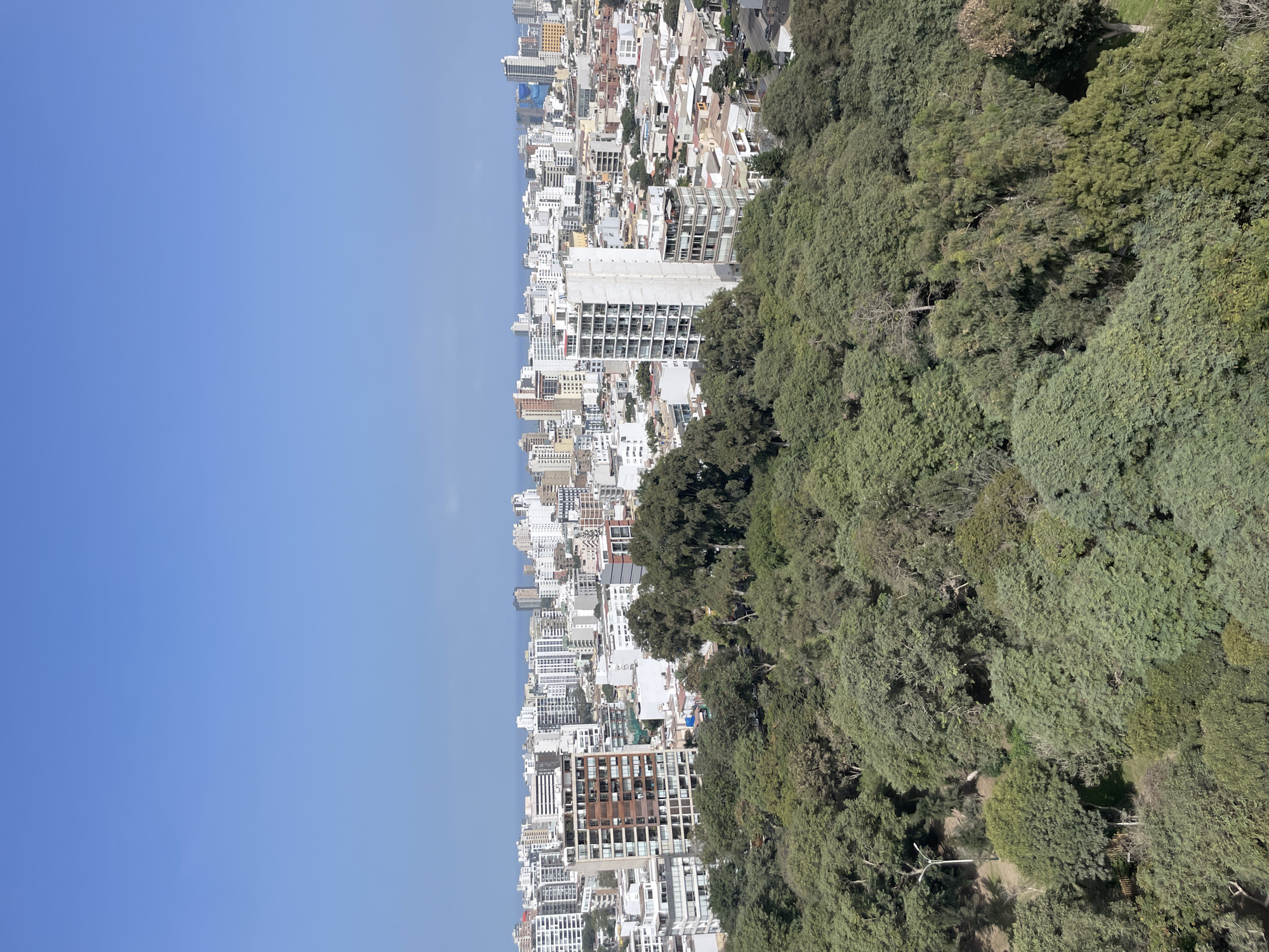 The image is a high-angle, wide shot of a city skyline with a large park in the foreground. The sky is clear and blue. In the foreground, a dense canopy of green trees fills the lower half of the image. Beyond the trees, a sprawling city extends to the horizon, characterized by numerous multi-story buildings of varying architectural styles and heights. Many of these buildings are white or light-colored, with some featuring balconies and visible windows. A body of water, likely the Pacific Ocean, is visible in the distance behind the city. The environment suggests a sunny day in an urban setting with significant green space integrated within the city. The city appears to be coastal. Based on the visual cues, this scene is consistent with an aerial view of a portion of Lince, Peru, a district known for its mix of residential buildings and parks, with proximity to the coast. There are no people or animals clearly visible in the image.