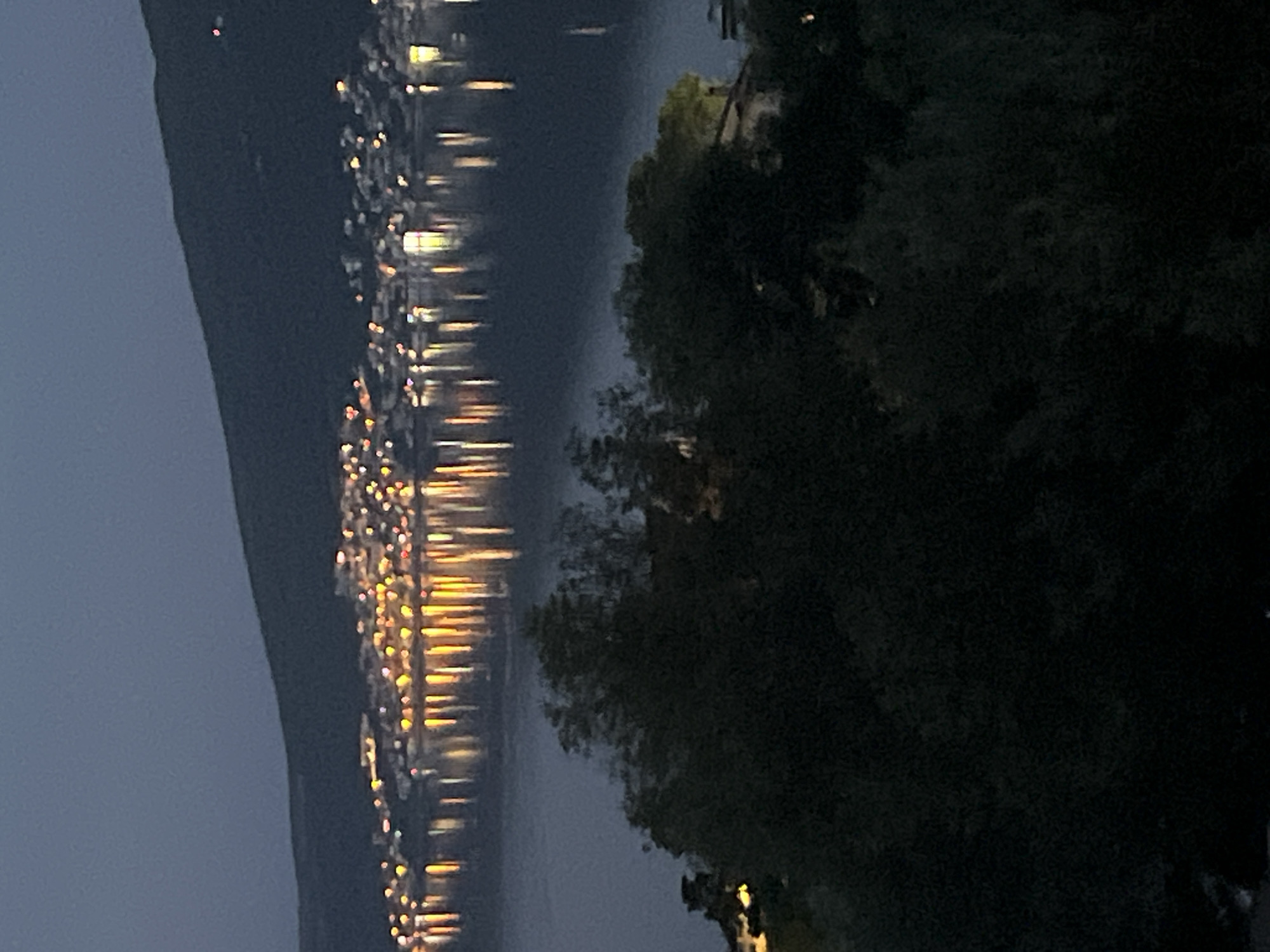 The image depicts a twilight scene over a body of water, likely the Bay of Kotor, with the lights of Baošići, Montenegro, visible in the distance. A dark, silhouetted hillside or mountain range forms the backdrop. In the foreground, dense, dark foliage, possibly trees and bushes, obscures much of the lower portion of the image. The lights of the town are reflected in the water, creating a shimmering effect. The sky is a deep, muted blue, indicating either dusk or dawn. There are no people or explicit actions visible. The overall impression is one of a serene, nocturnal landscape.