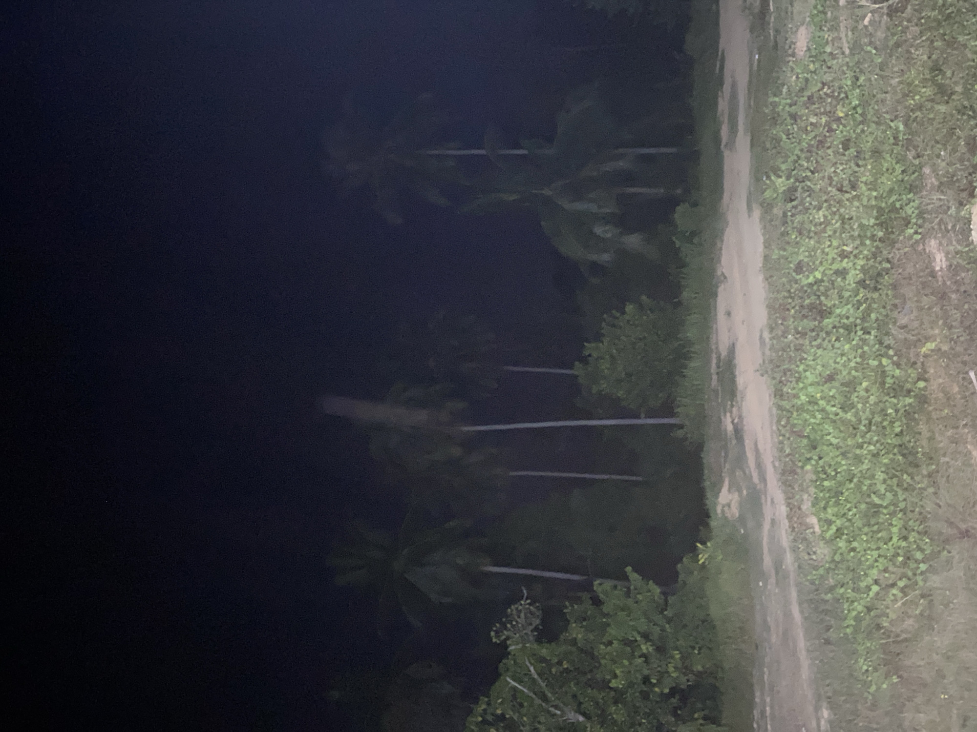 The image depicts a dark, nighttime scene in a tropical or semi-tropical outdoor setting, likely in Gampongaceh, Indonesia. The overall lighting is very low, creating silhouettes and deep shadows.
The primary subjects are dense vegetation and palm trees. On the left side of the main image, a vast dark expanse, likely the night sky, occupies the upper half. Below this, numerous palm trees and other dense foliage are visible as dark silhouettes against a slightly less dark background. Some lighter vertical and horizontal streaks are visible within the foliage, which appear to be palm tree trunks or branches faintly reflecting light.
A distinct dirt path or unpaved road runs vertically along the right side of the image, separating the dense vegetation from an area of ground covered in smaller green plants and grasses. The path itself appears uneven and unlit. No people, animals, or artificial structures are visible.
The scene conveys a sense of quiet and darkness typical of a rural or overgrown area at night. There is no discernible activity or event taking place; the image captures a static landscape. No text is visible in the image. The location context of Gampongaceh, Indonesia, is consistent with the presence of tropical flora such as palm trees.