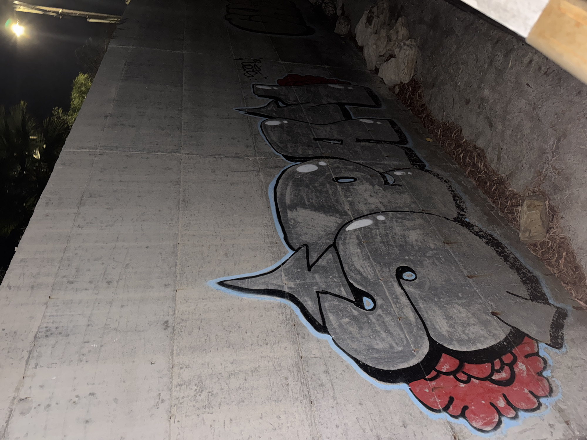 A graffiti artwork covers a concrete wall in Agios Tychona Community, Cyprus. The graffiti is done in shades of gray with blue and red accents, and appears to depict stylized lettering. The concrete wall is textured and shows signs of wear and tear. The scene is lit by an external light source, casting shadows and highlighting the graffiti. Debris, including leaves and rocks, is visible on the ground in front of the wall.
