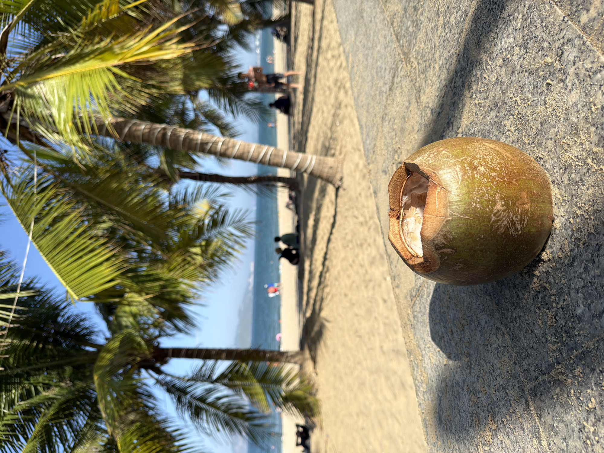A close-up shot focuses on a halved green coconut resting on a gray stone surface with sand scattered across it. The coconut is positioned in the lower right corner of the frame, casting a distinct shadow to its left. Beyond the coconut, the scene transitions to a blurred background depicting a sandy beach lined with palm trees under a bright, clear blue sky. Several indistinct figures are visible on the beach, some seated and others standing, near the ocean's edge. In the distance, a body of water meets a hazy shoreline. This image was captured at a beach in Nha Trang, Vietnam, indicated by the presence of palm trees and a tropical coastal environment.