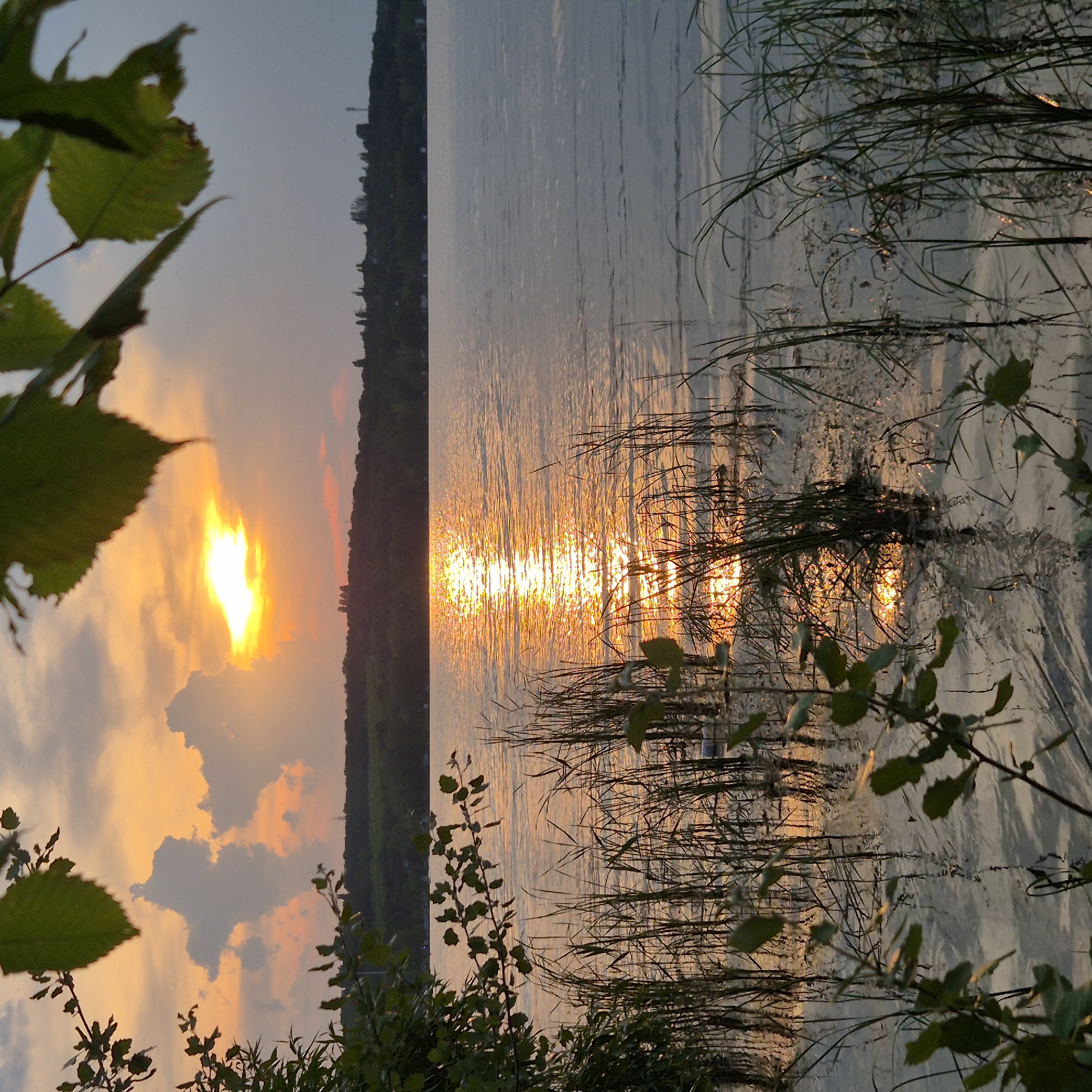 This is a landscape photograph of a body of water at sunset. The sun is visible low in the sky, casting a bright reflection on the water. There is vegetation in the foreground, including tall grasses and leaves from trees. In the background, there is a tree line across the horizon, with some structures visible on top of the hill. The sky is filled with clouds, with orange and yellow hues from the sunset. The overall mood is serene and natural.
