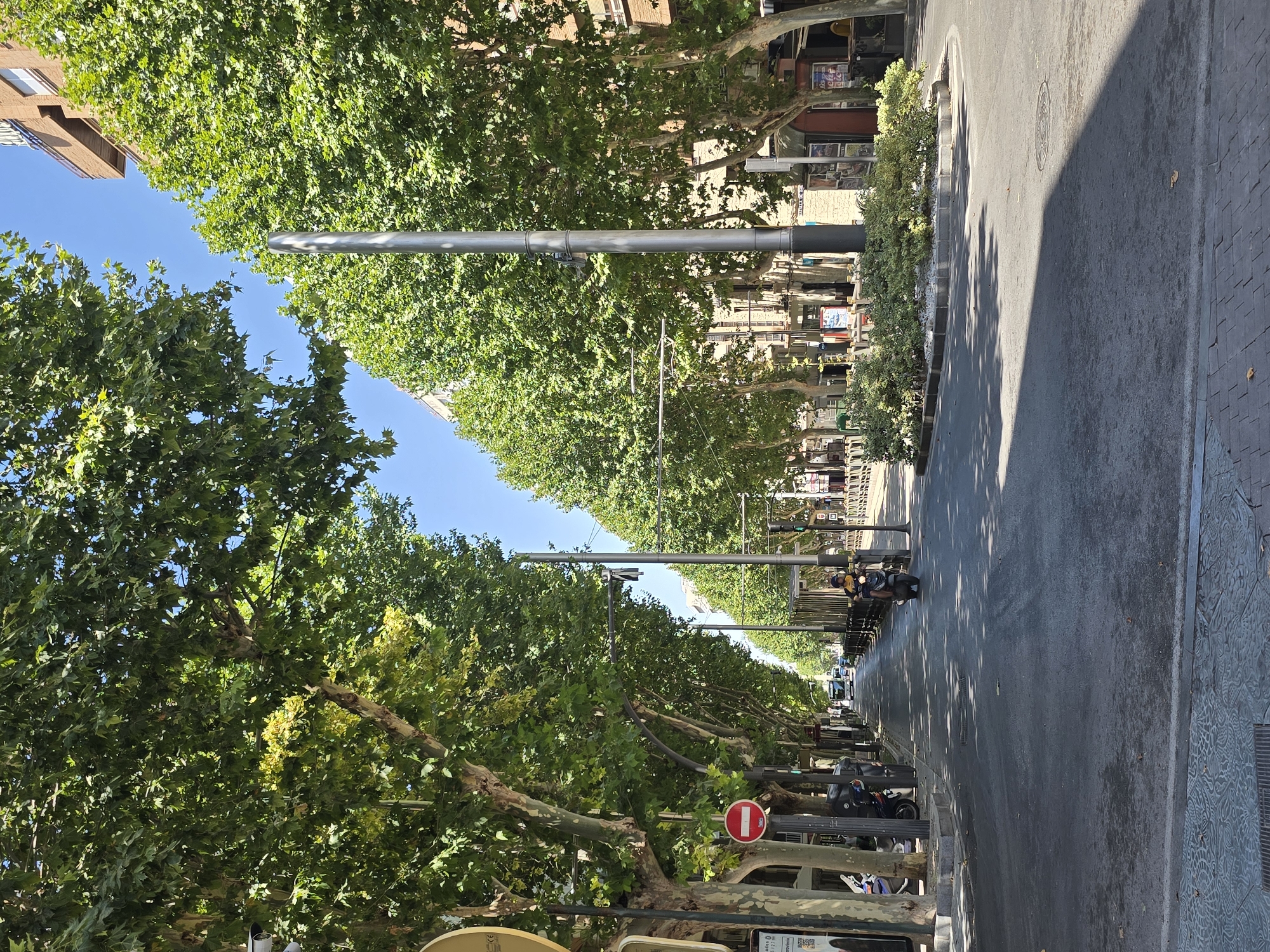 The image depicts a tree-lined street in Jaén, Spain, likely in an urban setting given the presence of buildings and street infrastructure. The street is paved and appears to be a road with a slight curve. On the left side of the road, there are parked motorcycles and a traffic sign with a red circle and a horizontal bar, indicating a prohibition. Further down the street, trees line both sides, creating a canopy overhead. The buildings lining the street are multi-story structures, some with balconies. On the right side of the street, there is a traffic light showing green. A person is riding a scooter down the street, casting a shadow. The sky is clear and blue, suggesting a sunny day. The overall scene is one of a typical urban street with pedestrian and vehicular traffic, shaded by mature trees.