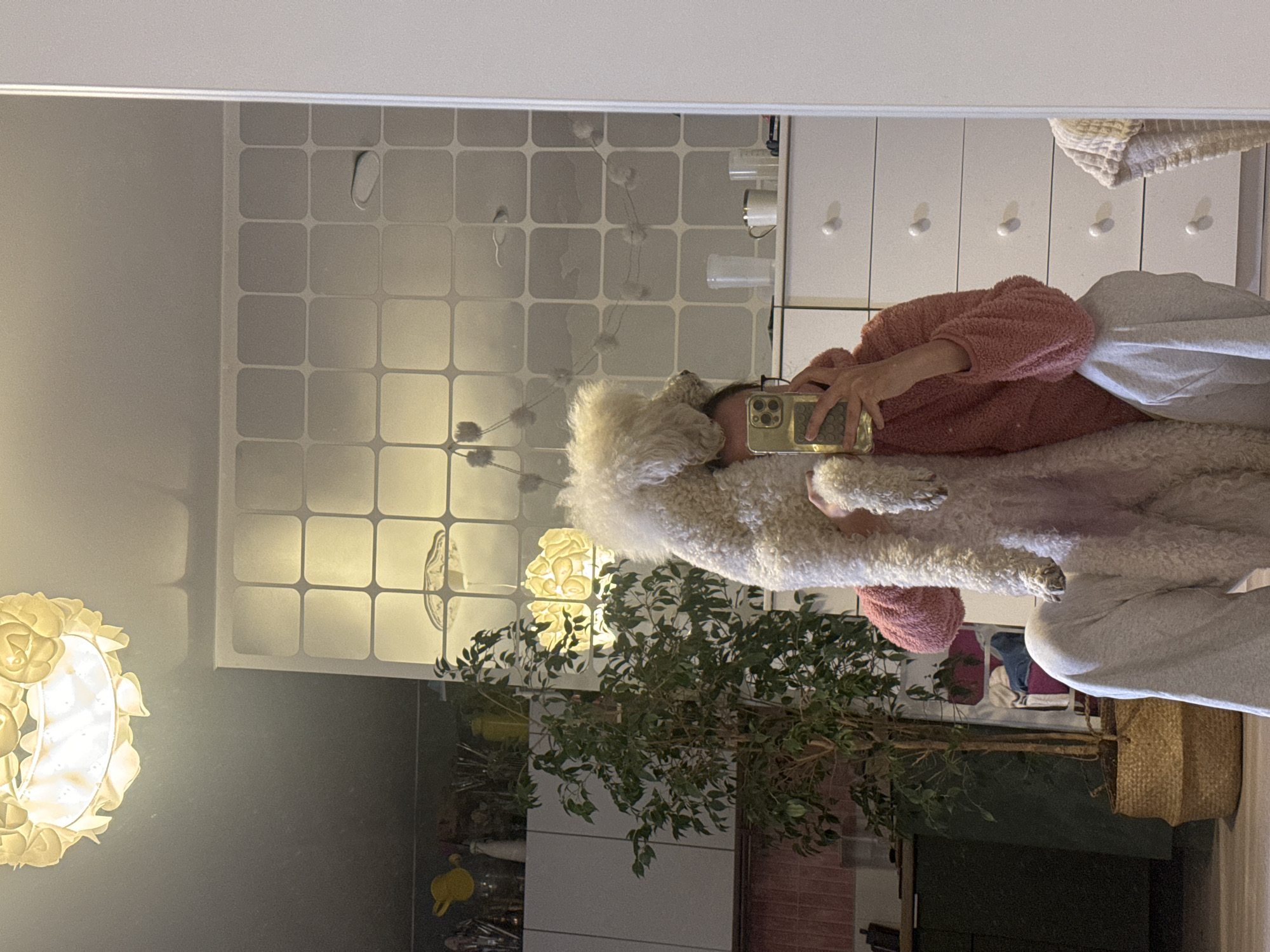 A person in a coral fleece sweater holds a white poodle up to a mirror to take a photo with a gold cell phone. The mirror reflects a light fixture, a tiled wall, and a plant. Beyond the subject are white drawers with silver knobs. Based on the tile patterns and the light fixture, this is potentially a bathroom, but there is no context to confirm if the photo was taken in Krasnoyarsk, Russia.