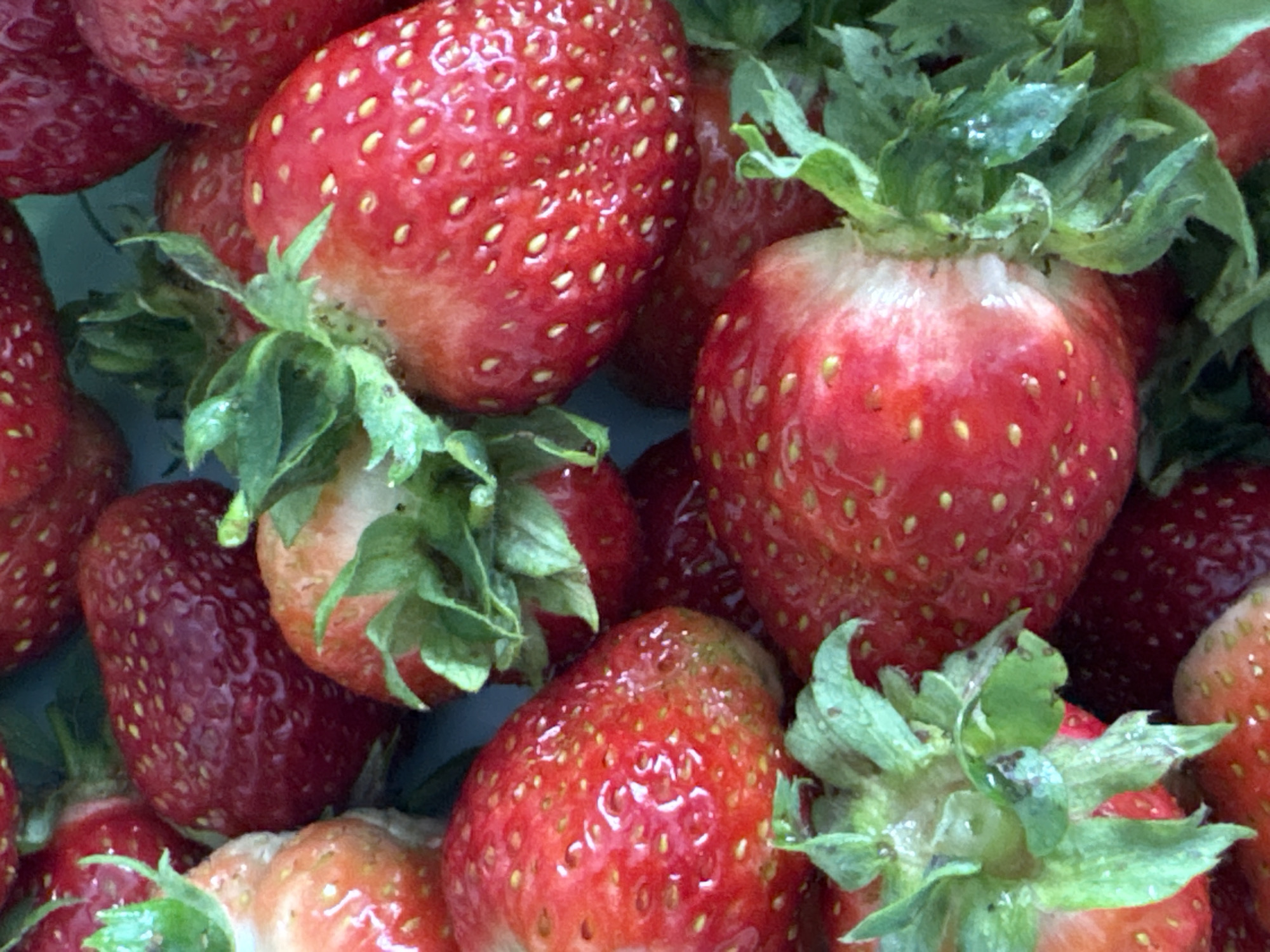 A close-up, overhead shot shows a cluster of ripe strawberries. The strawberries are a deep red color with visible seeds. Some have green stems and leaves attached. The background is dark, creating a shallow depth of field that keeps the focus on the fruit. The image captures the texture and vibrant color of the strawberries. The location in the city of Kumyony, Russia, is not determinable from the image.