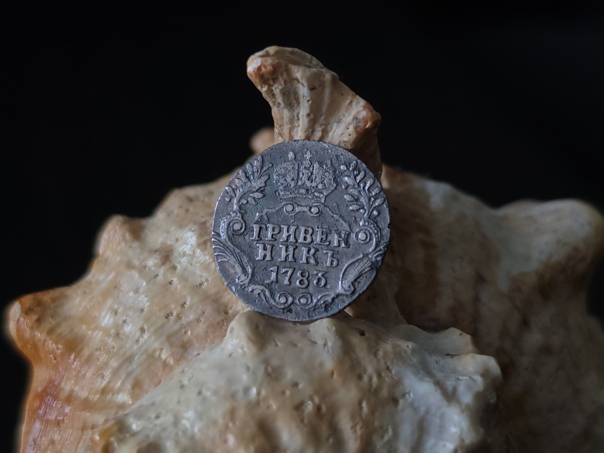 A silver coin rests on a textured, light-colored object, possibly a shell or a mineral formation. The coin is circular and displays intricate engravings. At the top of the coin, a crown is visible, surrounded by a laurel wreath. Below the crown, text in Cyrillic characters reads "ПРИВЕН НИКТ" and below that, the year "1783". The background is dark and out of focus, suggesting a studio or controlled lighting environment. The object supporting the coin has a rough, organic texture with visible ridges and pits, and is illuminated to highlight these details. No people are present in the image. The coin and its supporting object are the sole focus. The location in Strelna, Russia, is not visually discernible from the provided image.