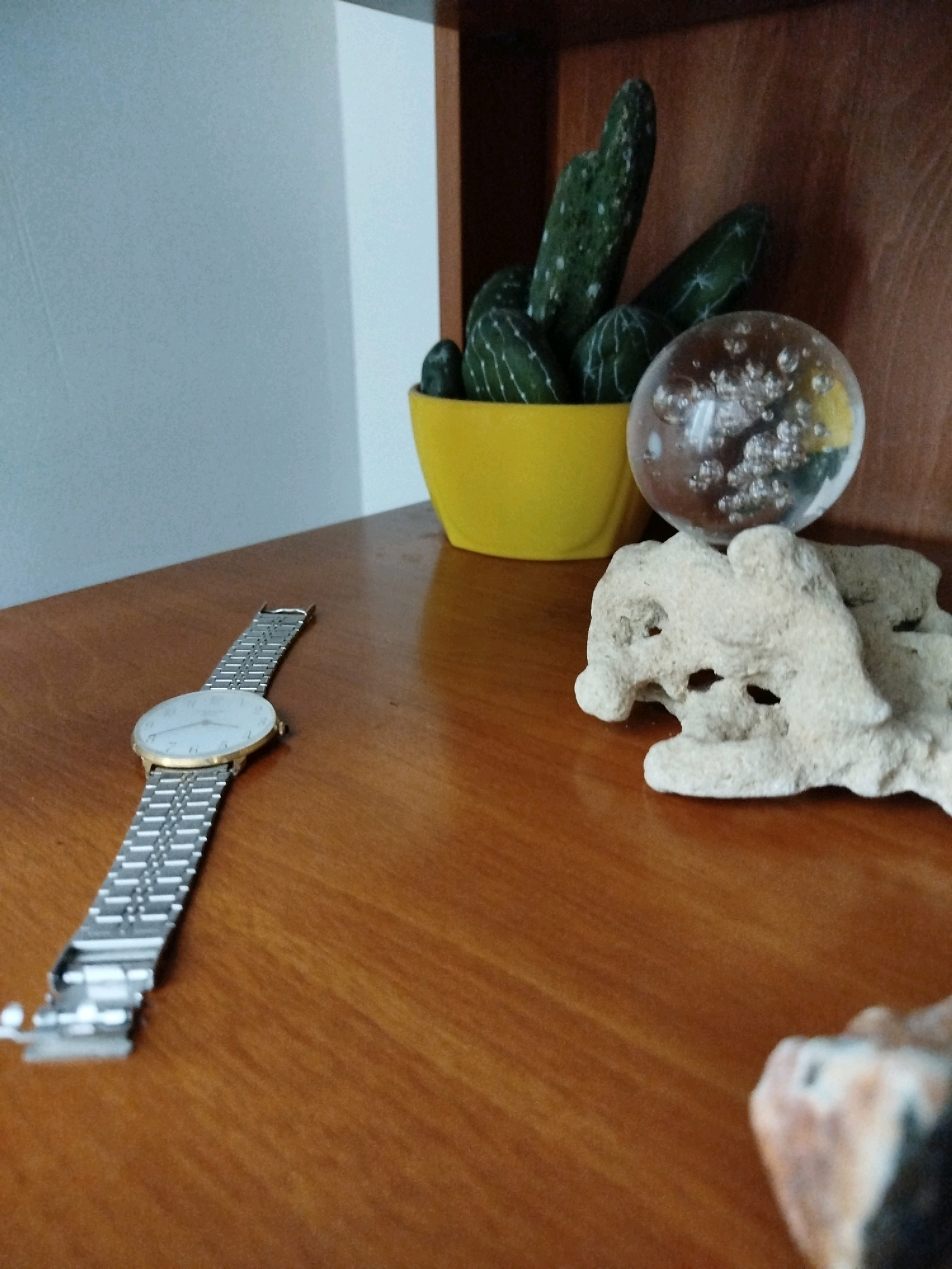 A close-up, low-angle shot shows a vintage wristwatch with a silver band and a white face placed on a wooden surface. To the right of the watch, a light-colored, porous rock formation is visible, and behind it, a clear glass orb filled with bubbles sits in front of a bright yellow pot containing a cactus. The background consists of a light blue wall and a wooden shelf. The scene does not depict any recognizable landmarks or specific locations within Ashkelon, Israel.
