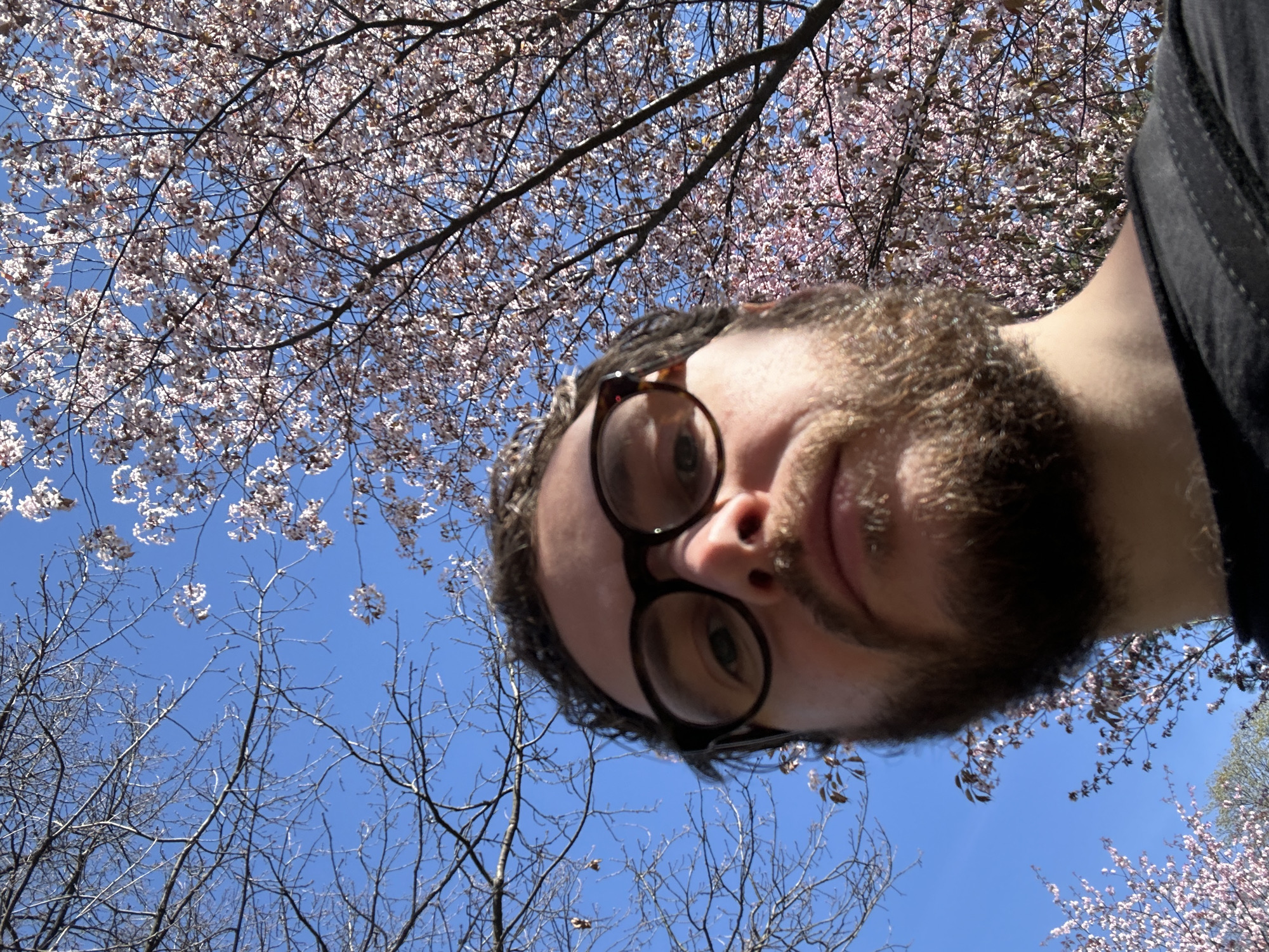 A low-angle selfie depicts a person with brown hair, a beard, and glasses, positioned against a backdrop of trees. Some trees are bare, while others are in bloom with pink or white flowers. The sky is blue. The photograph may have been taken outdoors in Saint Petersburg, Russia, based on the reported location.
