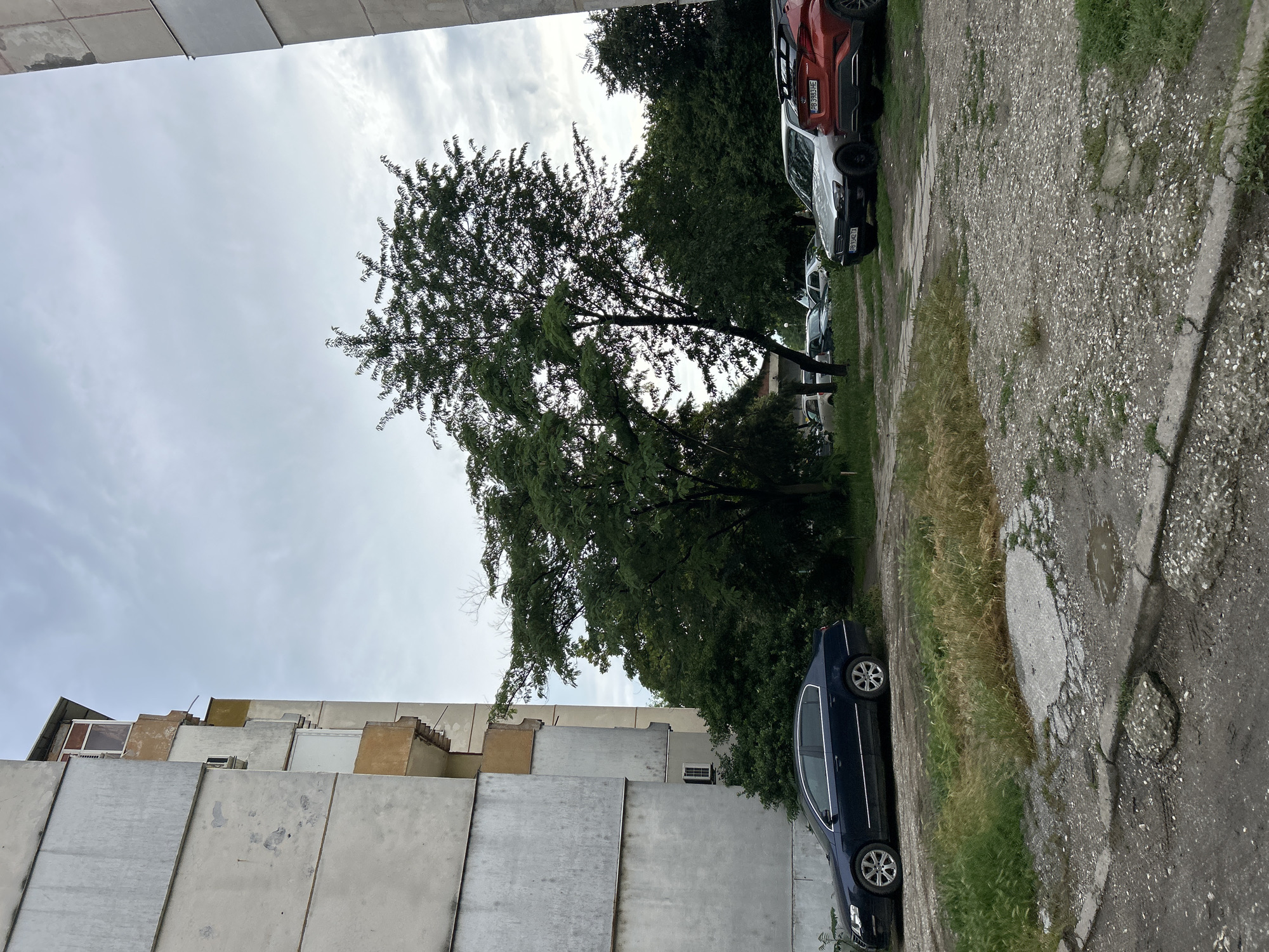 The image depicts a street scene in Plovdiv, Bulgaria, likely in a residential area. On the left, a multi-story apartment building with a weathered, grey facade is visible. Adjacent to it, a dark blue sedan is parked. In the center of the frame, a mature tree with dense green foliage stands tall. To the right of the tree, two cars are parked: a silver sedan and a red SUV. The ground is a mixture of gravel, dirt, and patches of grass, with some areas showing signs of wear and tear, including potholes and cracks in the pavement. The sky is overcast, with a cloudy, grey tone. The overall impression is one of an ordinary urban environment.