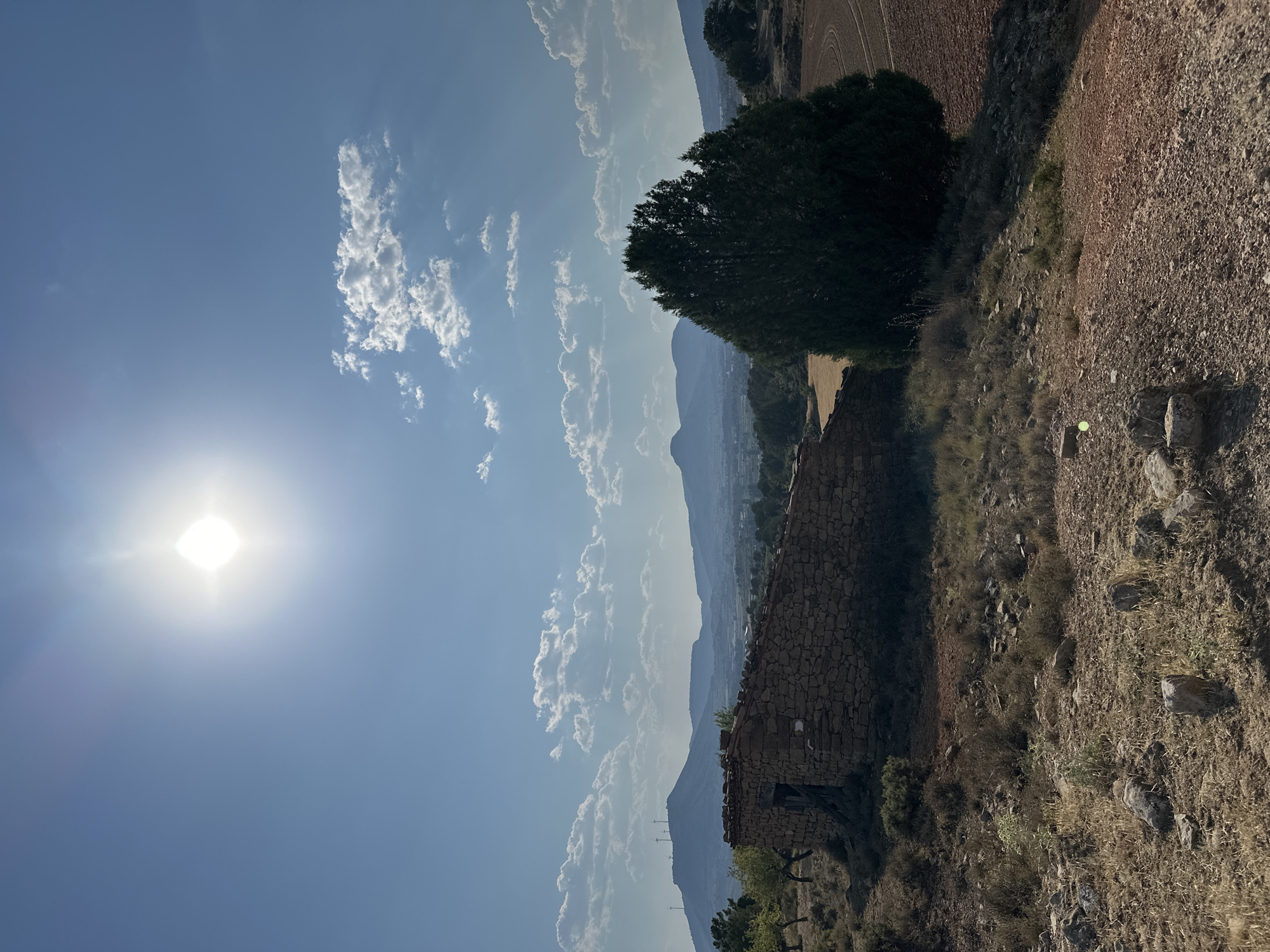 The image captures a rural landscape under a bright, sunny sky with scattered clouds. The sun is prominent in the upper left quadrant of the frame, casting lens flare and light rays. In the foreground, a weathered, stone-built structure with a partially collapsed roof stands on a dry, scrub-covered hillside. To the right of the structure, a large, dark green evergreen tree is positioned. Beyond the immediate foreground, the terrain slopes down towards a valley where fields and trees are visible. In the distance, a range of mountains forms the horizon, with wind turbines visible on the crest of one of the larger peaks. The overall environment suggests a dry, arid climate. The scene is located in the municipality of Alpuente, Spain, known for its natural beauty and historical sites.