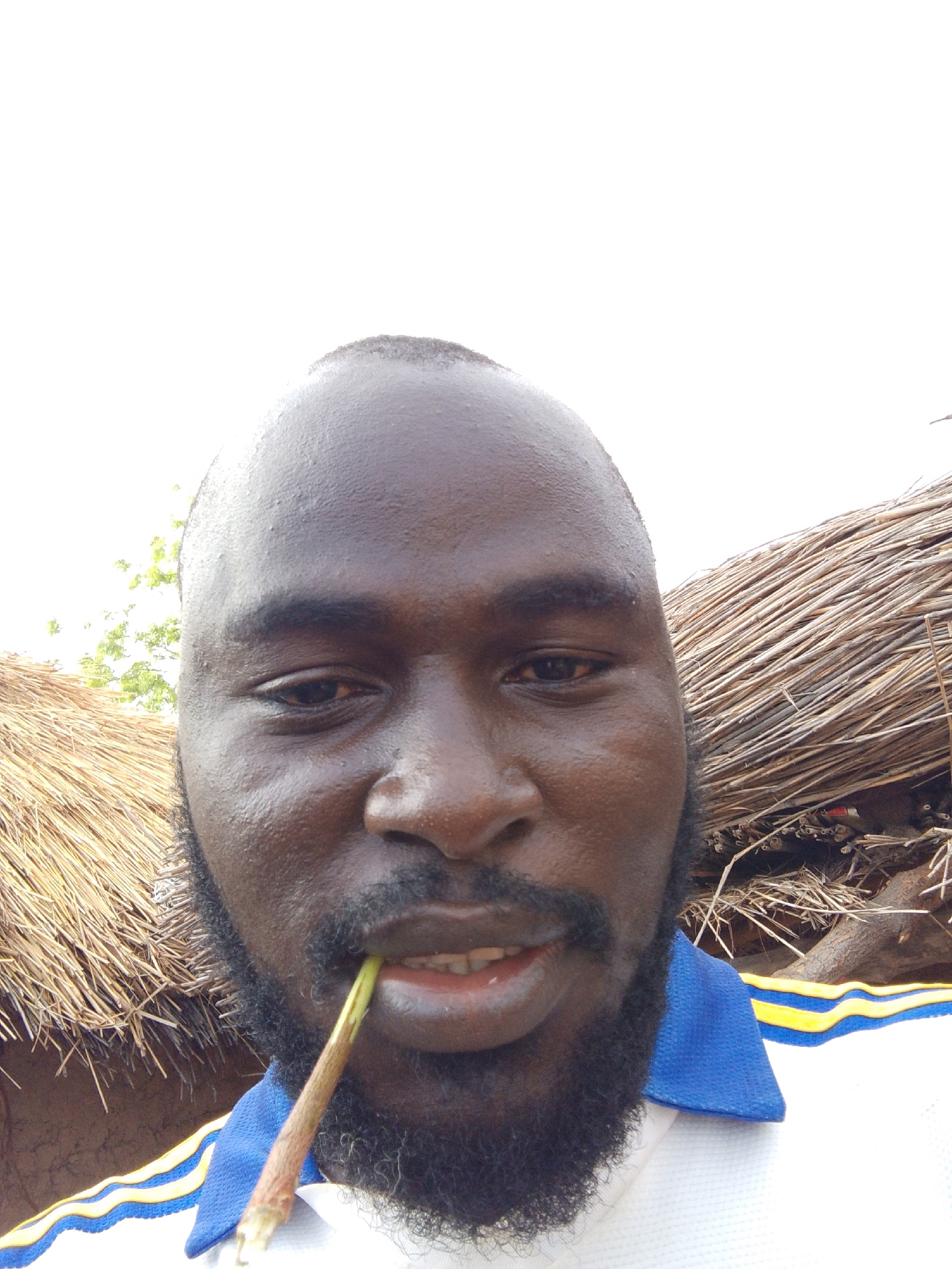 A close-up selfie of a Black man with a bald head, a beard, and a short stem in his mouth. He is wearing a white shirt with blue and yellow trim. Behind him is a thatched structure, possibly a roof or wall, with visible branches and debris. The setting appears to be outdoors. There is no discernible information about Mulke Barikin Sayejo, Nigeria to determine the location.