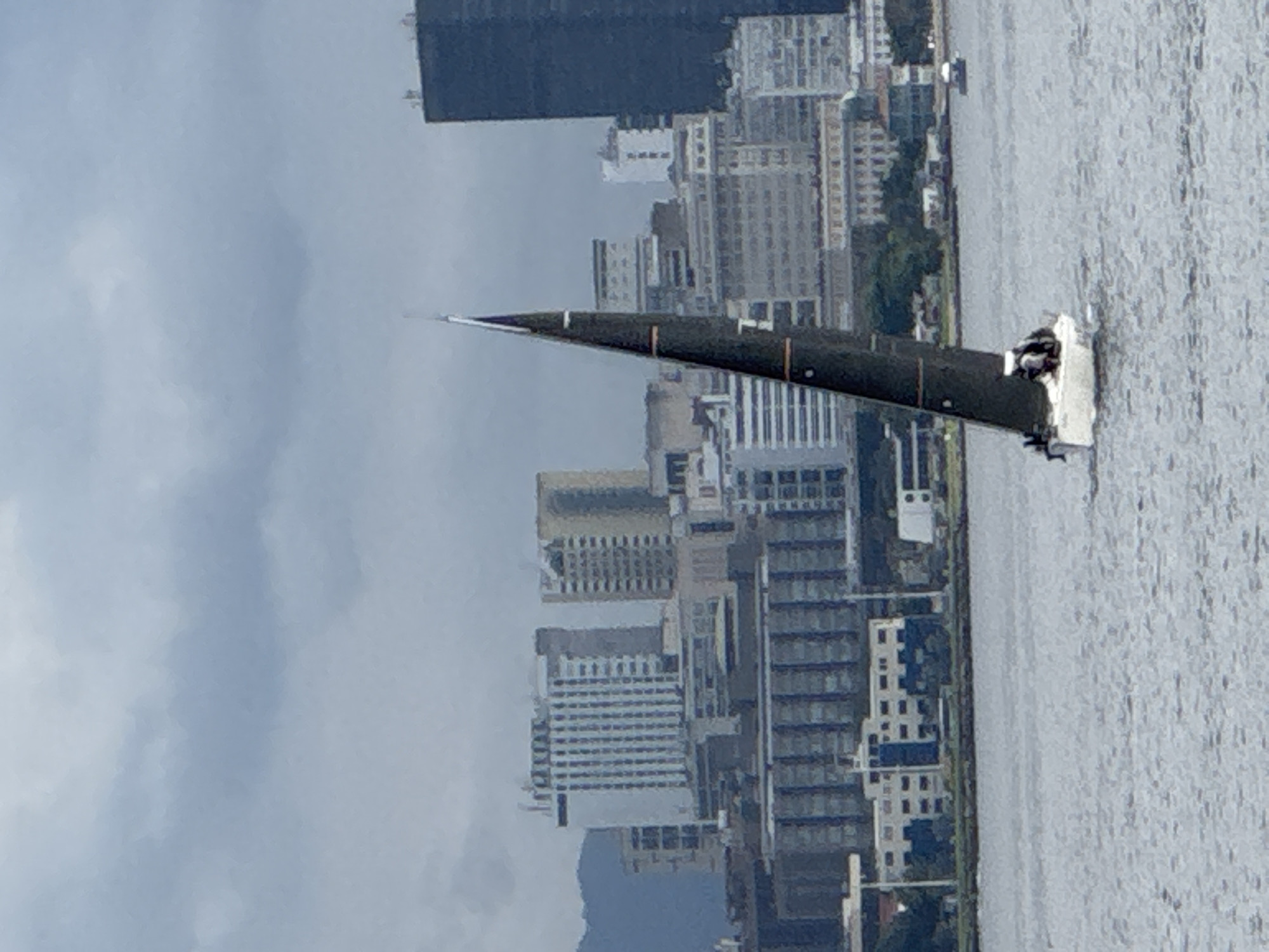 The image depicts a sailboat with a dark sail navigating choppy, grey water in the foreground. A city skyline composed of numerous buildings, including tall skyscrapers and lower-rise structures, forms the backdrop. Mountains are visible in the far left background. The sky is overcast with grey clouds. The scene is likely a view of the Guanabara Bay in Niterói, Brazil, looking towards the Rio de Janeiro skyline.