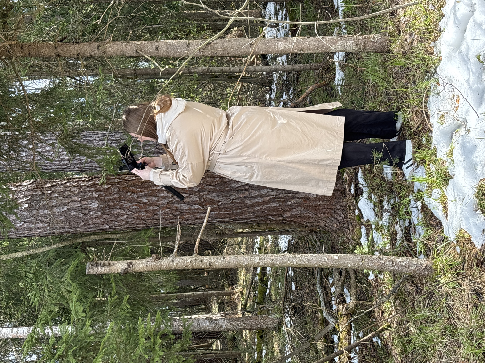 A person lies prone on a fallen tree trunk in a forest near the city of Razdolie, Russia. The person is wearing black pants, white sneakers with black stripes, and a long beige trench coat with the hood up. They are holding a dark device in their hands, possibly a phone or camera. Patches of snow are visible on the ground. The area is wooded with tall pine trees.