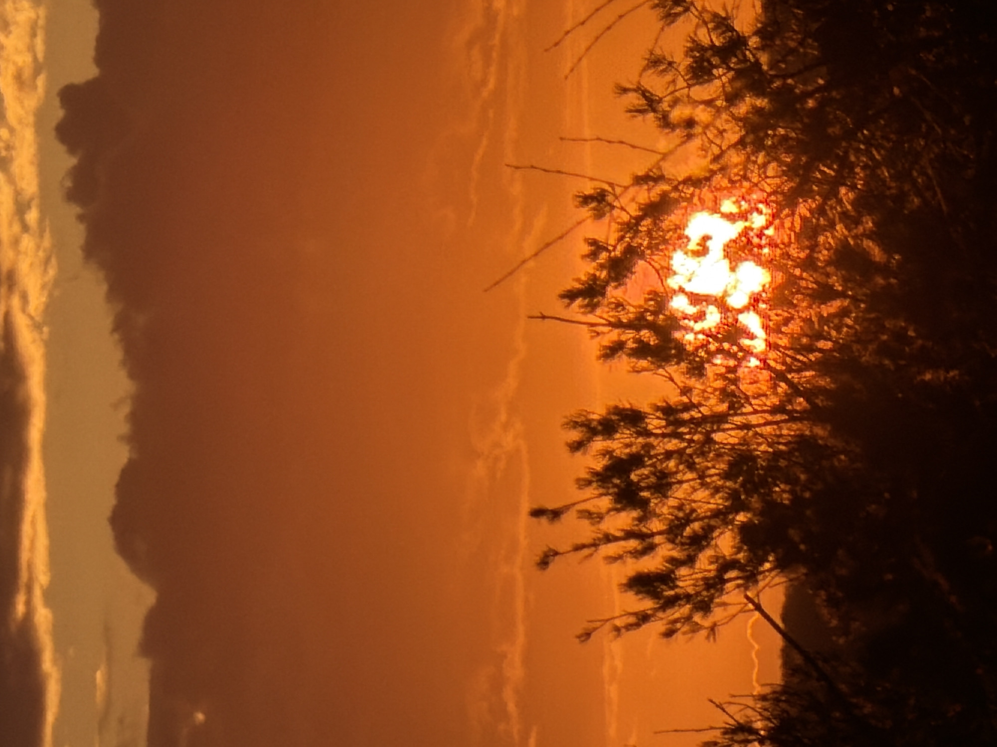 The image captures a dramatic sunset or sunrise over a natural landscape. A prominent tree or large bush, silhouetted in dark tones, dominates the right side of the frame, its dense foliage and branches partially obscuring the sun. The sun itself appears as a brilliant, intense burst of white, yellow, and orange light, radiating through the gaps in the branches.
The sky is filled with warm, rich hues of orange and red, characteristic of either dawn or dusk. On the left side of the image, the edges of several clouds are softly illuminated by the golden light, contrasting with their darker, shadowed bodies. The overall lighting creates a strong backlighting effect, emphasizing the silhouette of the tree against the vibrant sky. The scene evokes a sense of tranquil natural beauty.
There are no people, man-made objects, or visible text present in the image. The setting appears to be outdoors, likely a rural or forested area given the natural elements of trees, sun, and clouds.
