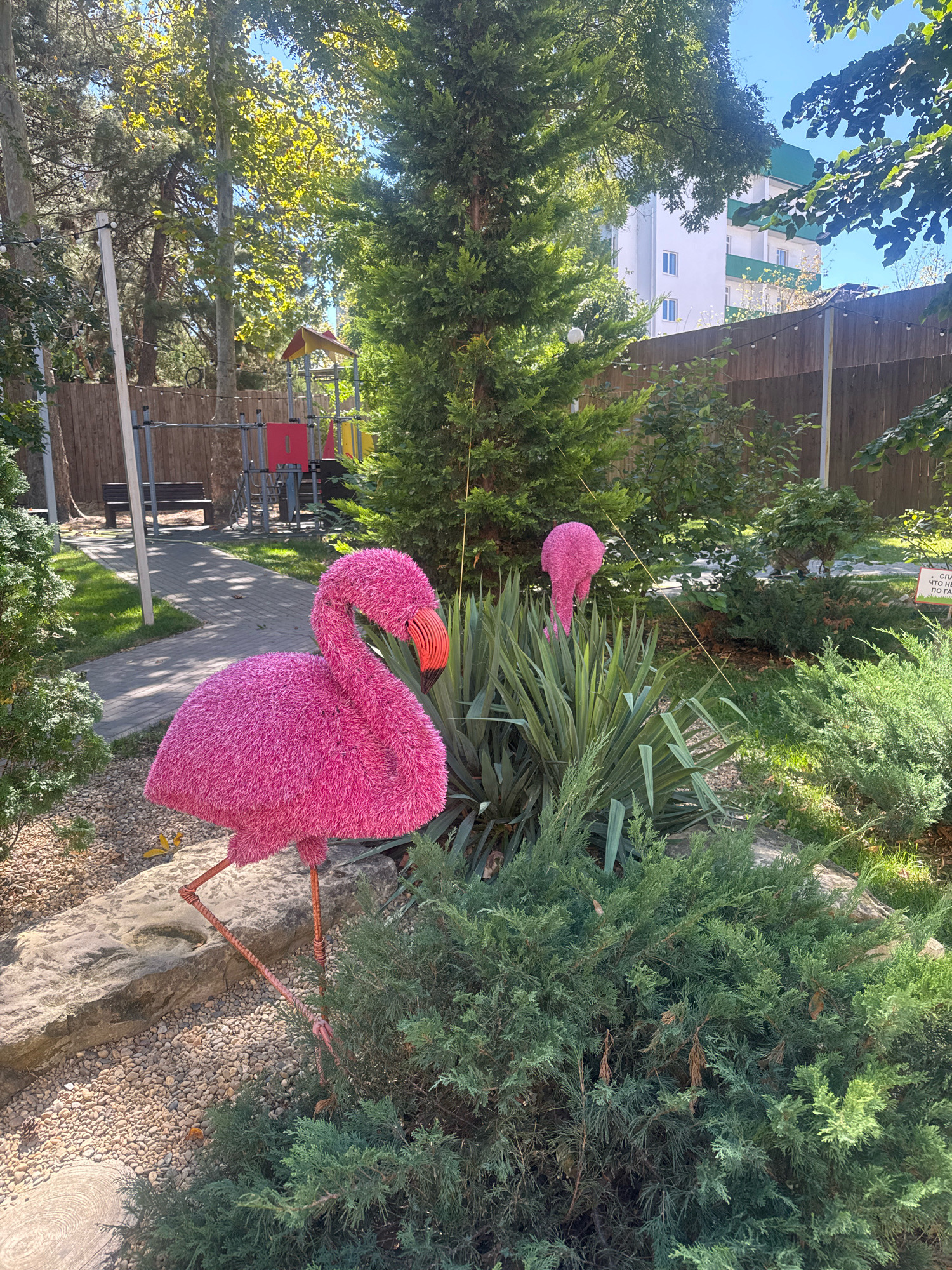 The image depicts an outdoor area with a pink flamingo statue as the central subject. The flamingo is large, with a textured, fluffy exterior and a bright orange beak. It stands on thin, wire-like legs. Behind the flamingo, there is another smaller pink flamingo head peeking out from behind some tall, spiky green plants. The ground is covered with small pebbles and some rocks, with green bushes and trees surrounding the area. In the background, a wooden fence is visible, and beyond that, a playground structure with red and yellow elements. A building with white walls and a green roof can be seen further in the background. The scene is illuminated by sunlight, suggesting it is daytime. This location is identified as being in the city of Anapa, Russia, likely in a park or recreational area.