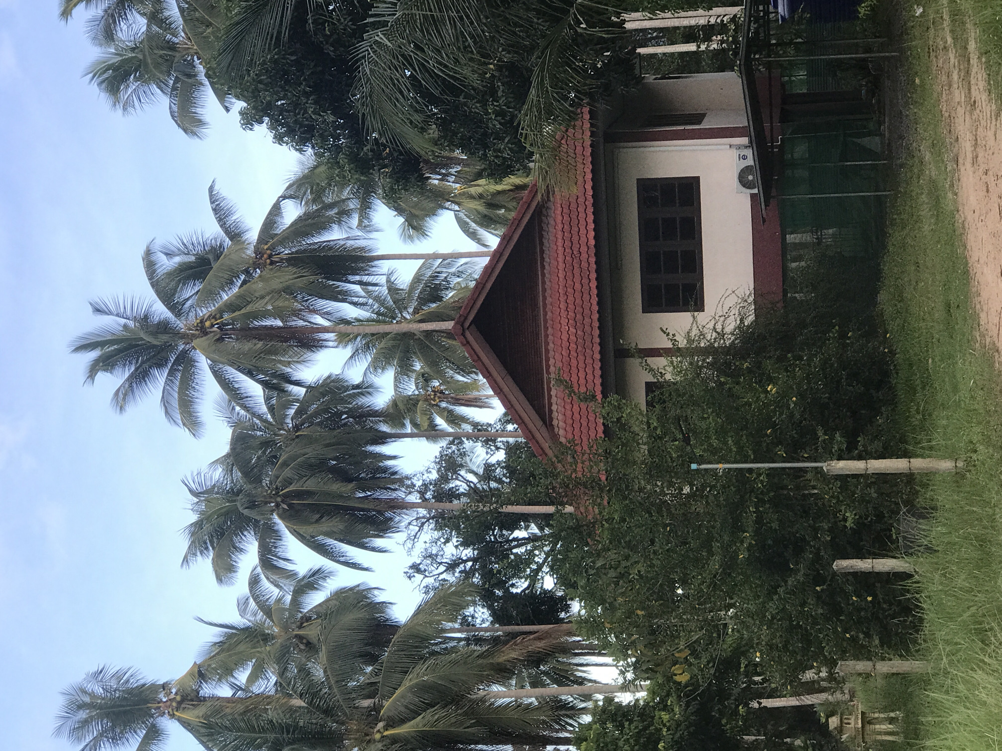 The scene depicts a single-story building with a red-tiled roof, light-colored walls, and dark-framed windows. An air conditioning unit is visible on the wall. The building is surrounded by lush vegetation, including palm trees and other leafy plants. A dirt path or road is visible on the right side of the frame. The location is Baan Mae Nam, Thailand. The image suggests a tropical or subtropical environment. No people or animals are visible in the scene.