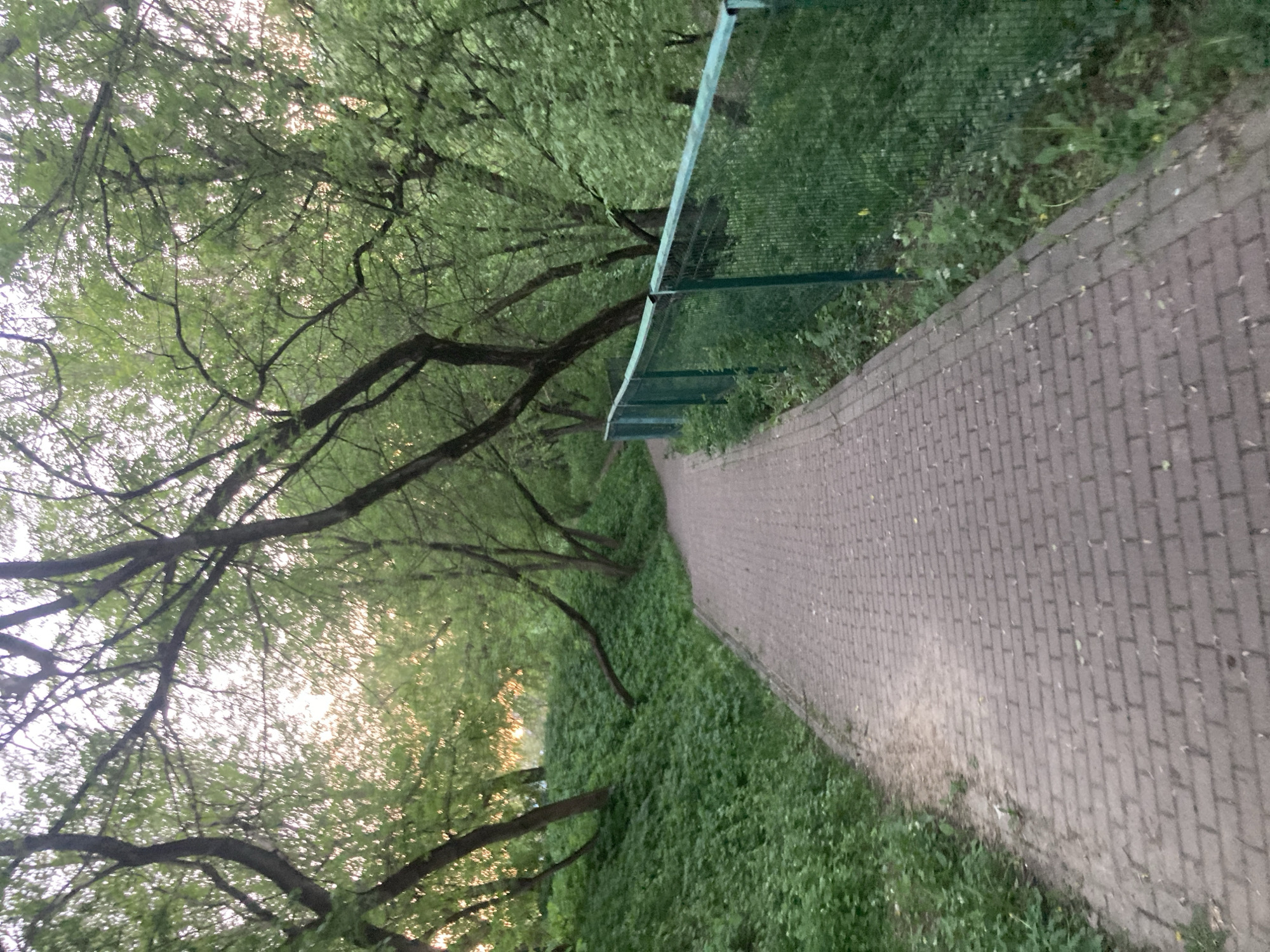 The image shows a brick pathway winding through a park. Trees with green leaves arch overhead, creating a canopy. A green metal fence runs alongside part of the path. The ground is covered with green vegetation. The lighting suggests it's either early morning or late afternoon. The location is Moscow, Russia.