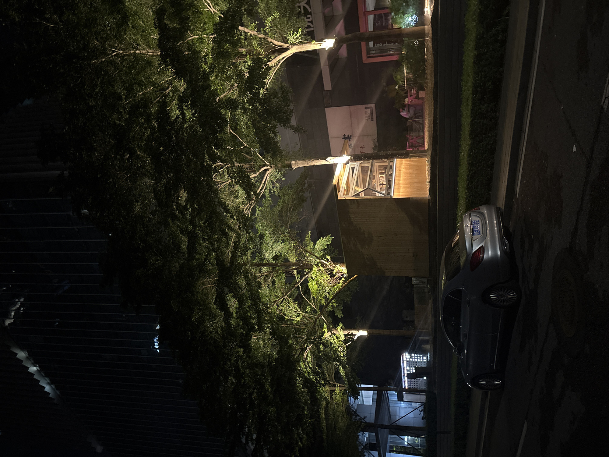 The image shows an outdoor scene at night, illuminated by artificial lights. A large tree with dense foliage dominates the left side of the frame. To the right of the tree, a light-colored sedan is parked on a wet asphalt road. The car has a license plate with visible characters. Behind the tree and the car, there is a building with illuminated windows and some outdoor seating areas with people visible. The building appears to be a commercial establishment, possibly a restaurant or cafe. There is a pathway and greenery separating the building from the road. The overall impression is of a city street at night, with a mix of natural elements and urban infrastructure. The presence of lights and the wet road suggest it might have rained recently.
