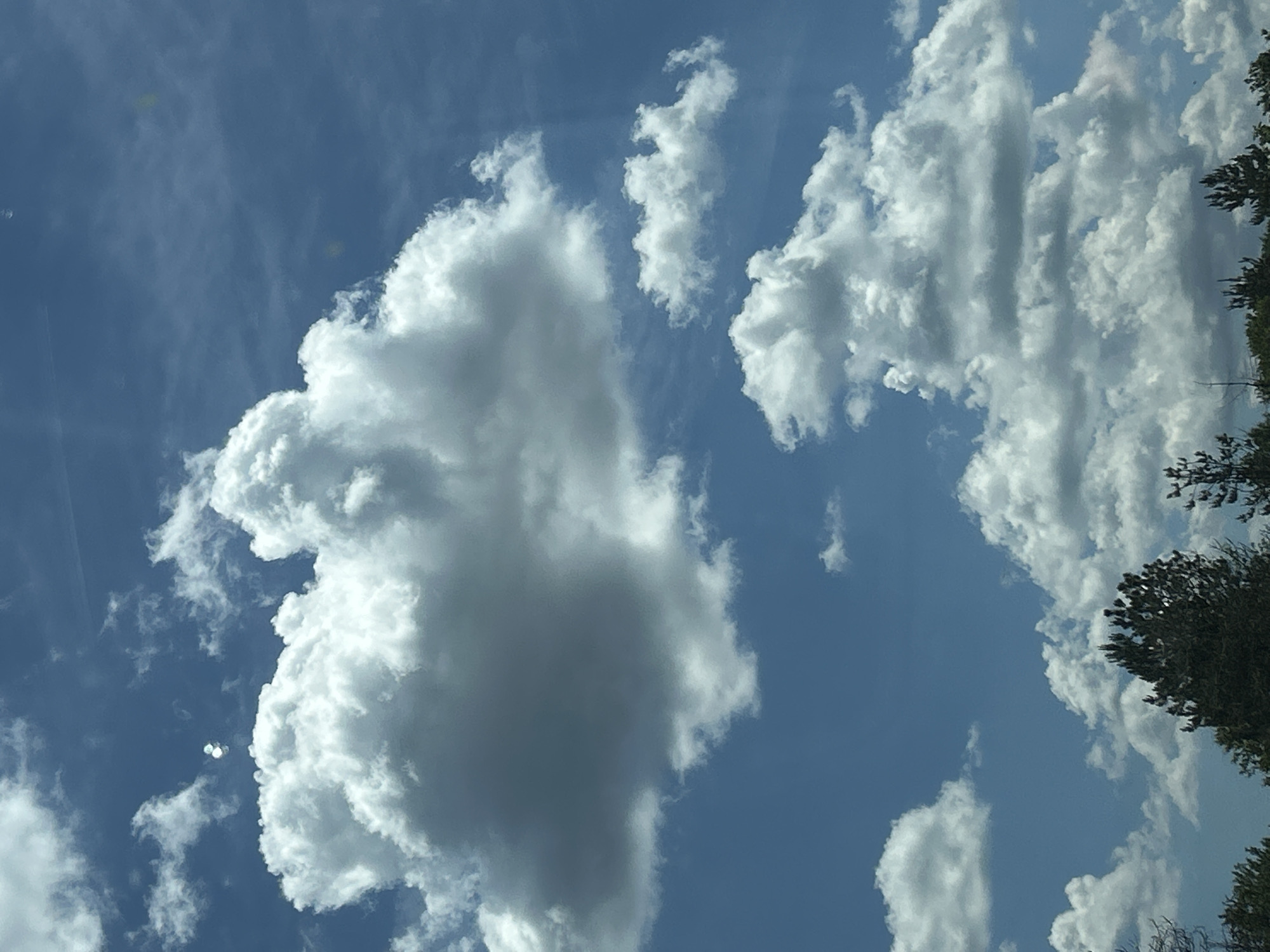 The image depicts a bright, partly cloudy sky over Verinsko, Bulgaria. Dominating the upper portion of the frame are large, fluffy cumulus clouds, some appearing bright white against the deep blue sky, while others show darker, shadowed undersides, suggesting depth and volume. The sunlight filters through and around these clouds, creating a bright and airy atmosphere. In the distance, a line of dark green trees forms the horizon beneath the sky. There are no people or any discernible activity in the scene. The image captures a serene moment of nature's grandeur.