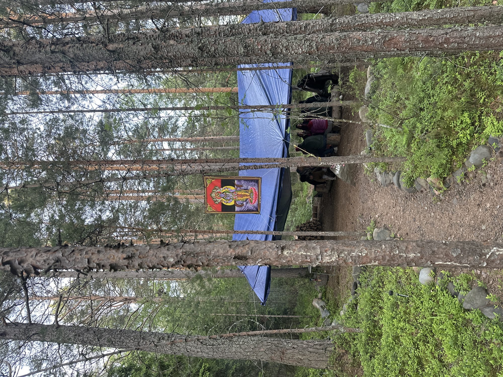 This is a photograph taken in the city of Soanlakhti, Russia, depicting a forest clearing. A large blue tarp is stretched between trees, creating a shelter. Underneath the tarp, several people are seated in a circle. A colorful tapestry or banner depicting a deity hangs from a tree in front of the shelter. The ground is covered in pine needles and small rocks. The surrounding area is densely populated with pine trees, with lush green undergrowth and blueberry bushes visible. The scene suggests an outdoor gathering or camp in a natural, wooded environment.