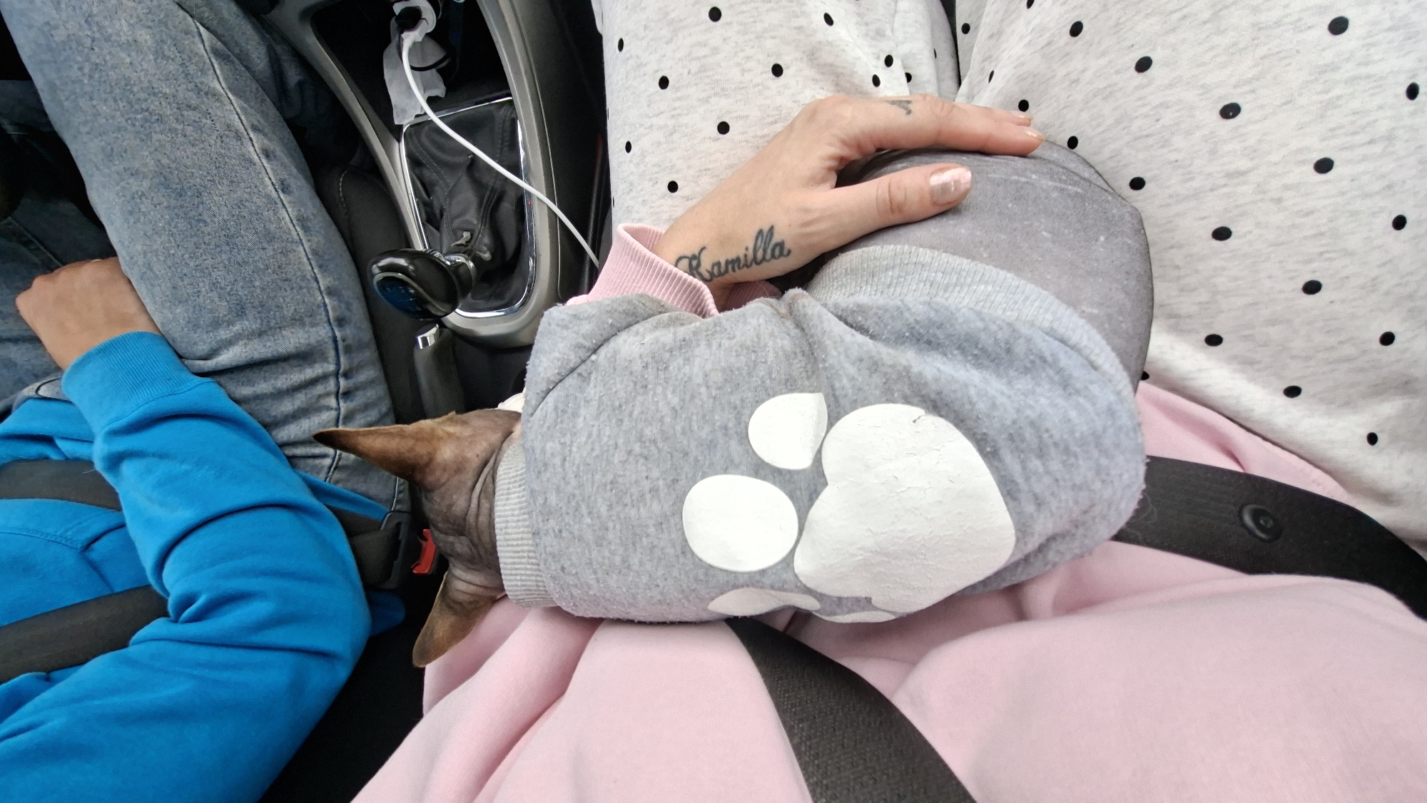 The image is an overhead shot of a sphynx cat wearing a grey sweatshirt with a white paw print design. The cat is nestled on the lap of a person wearing a pink hoodie and polka dot pants. Another person, wearing a blue sweatshirt and jeans, is visible in the background, their arm resting on their leg. They appear to be in a car, as evidenced by the gear shift and seatbelt visible. A tattoo of the name "Kamilla" is visible on the arm of the person in the foreground. The scene suggests a casual moment of travel.