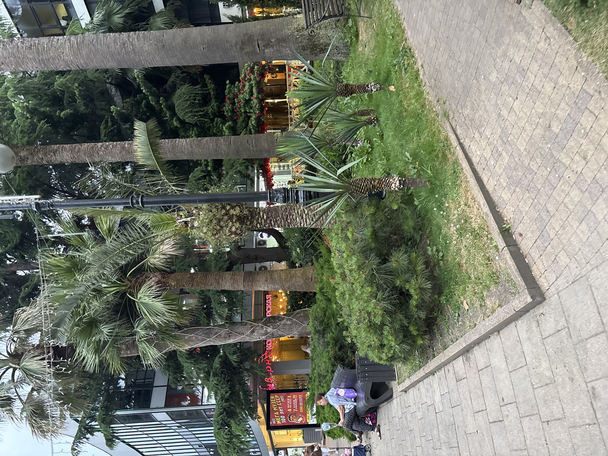The image captures a scene in Sochi, Russia, likely on a street or promenade lined with lush vegetation and palm trees. In the foreground, a woman sits on a dark bench, holding a light-colored bouquet. She is dressed in casual attire, and a purple bag rests beside her on the bench. Adjacent to the bench is a well-maintained bush, and further back, several young palm trees stand in a patch of grass.
Behind the greenery, a building with a modern facade is visible, featuring large windows and architectural elements. Neon signs with Cyrillic lettering are illuminated on the building's exterior, indicating commercial establishments. A street lamp with a classic design stands near the bench. The ground is paved with light-colored rectangular bricks, forming a walkway that curves gently. The overall atmosphere suggests a pleasant, urban outdoor space, possibly in a resort area, given the presence of palm trees and the style of the architecture. The lighting indicates it is daytime, though possibly overcast, as there are no harsh shadows.