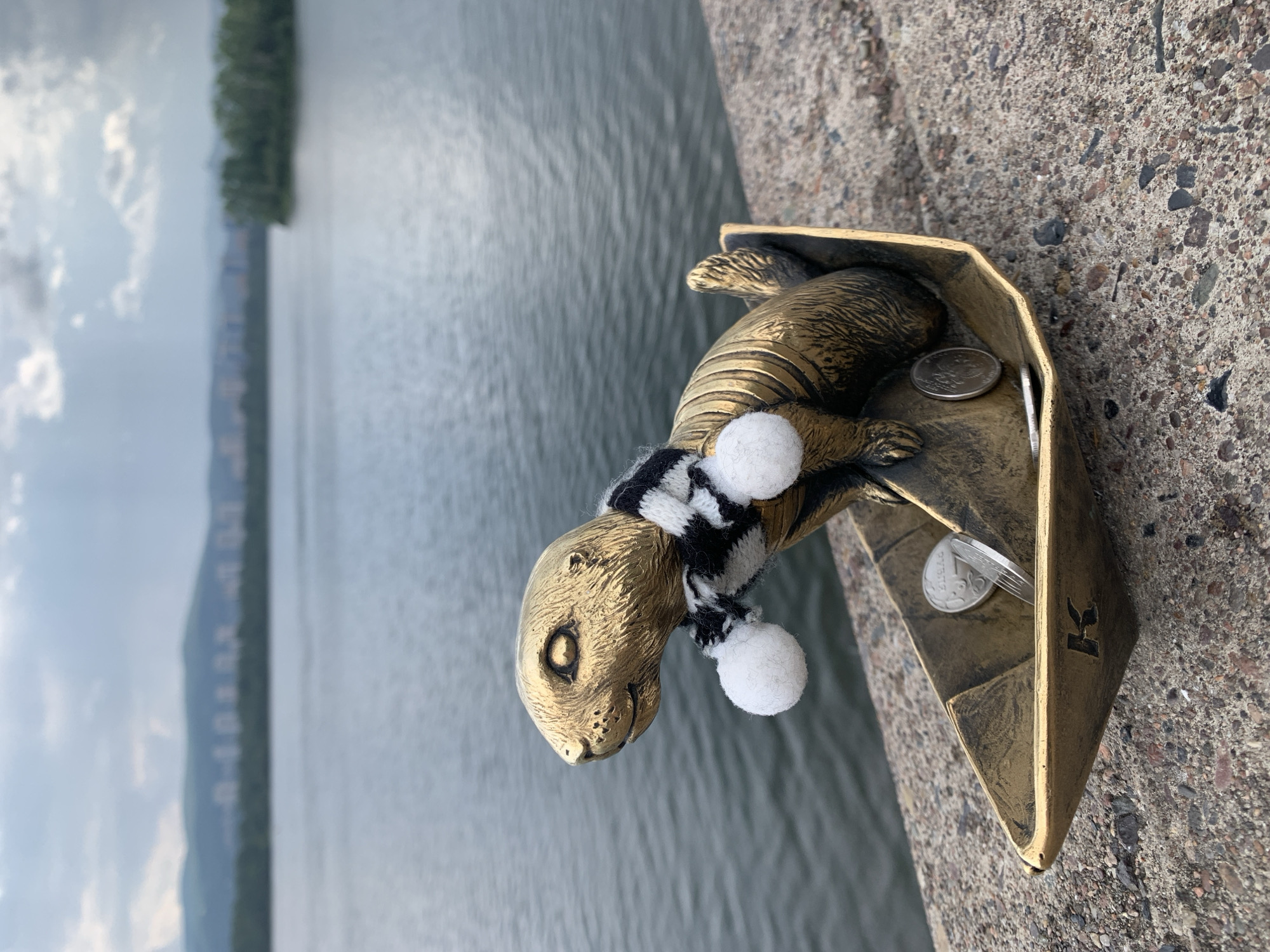A bronze statue of a groundhog wearing a black and white striped scarf with two white pom-poms is sitting in a golden boat-shaped receptacle. The boat contains two coins. The statue and boat are placed on a concrete surface next to a large body of water. In the background, across the water, are a line of trees, and further in the distance, hills with buildings on them. This is the monument to the groundhog, located on the embankment of the Yenisei River in Krasnoyarsk, Russia.