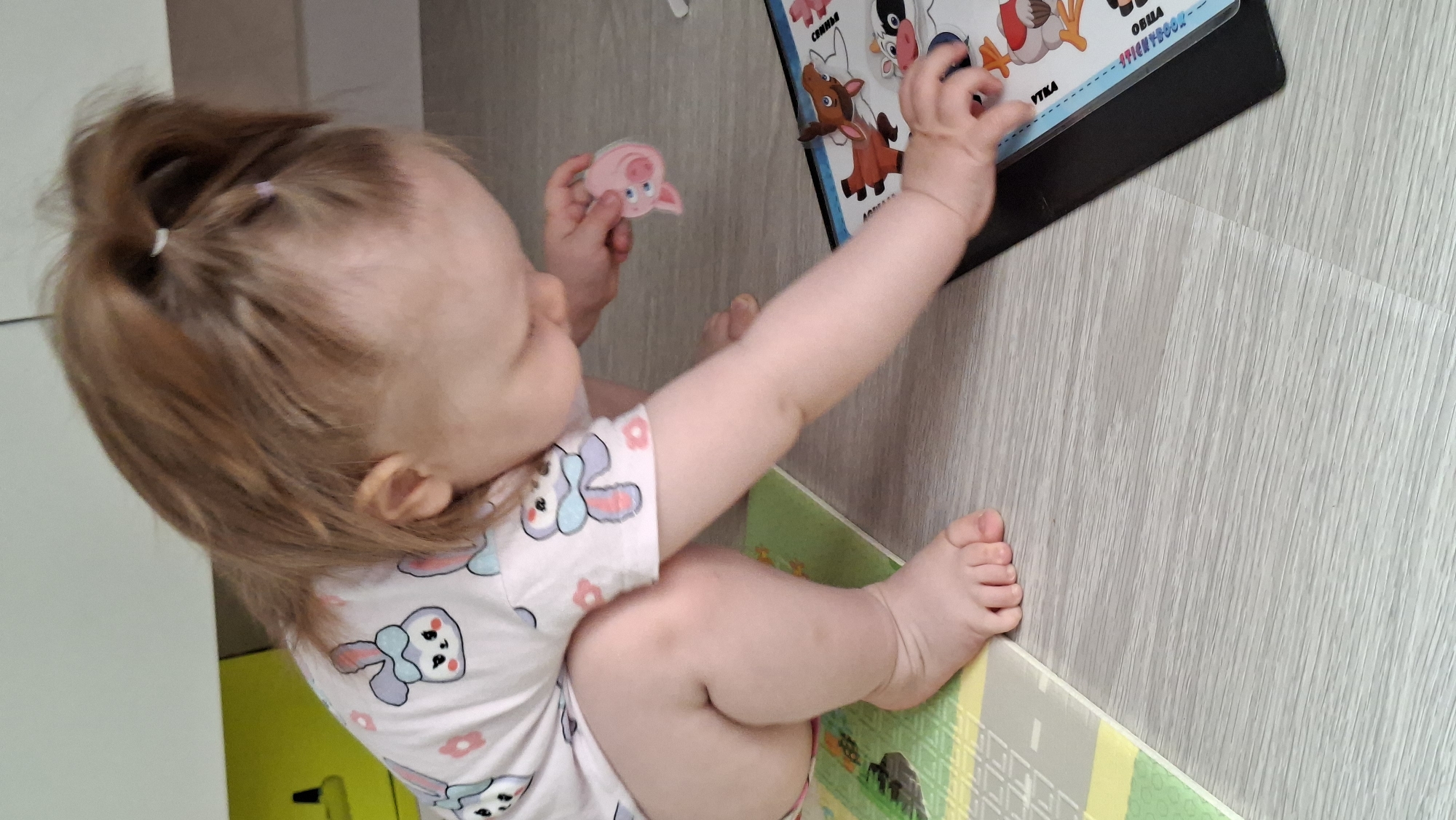 A child sits on a play mat on a gray laminate floor. The child is fair-skinned with light brown hair tied in a ponytail. The child wears a white romper with cartoon bunny graphics. The child is holding a pink toy in their left hand and reaching towards a black picture book. The book has animal images. The photo was taken indoors. The location is Chaikovsky, Russia.