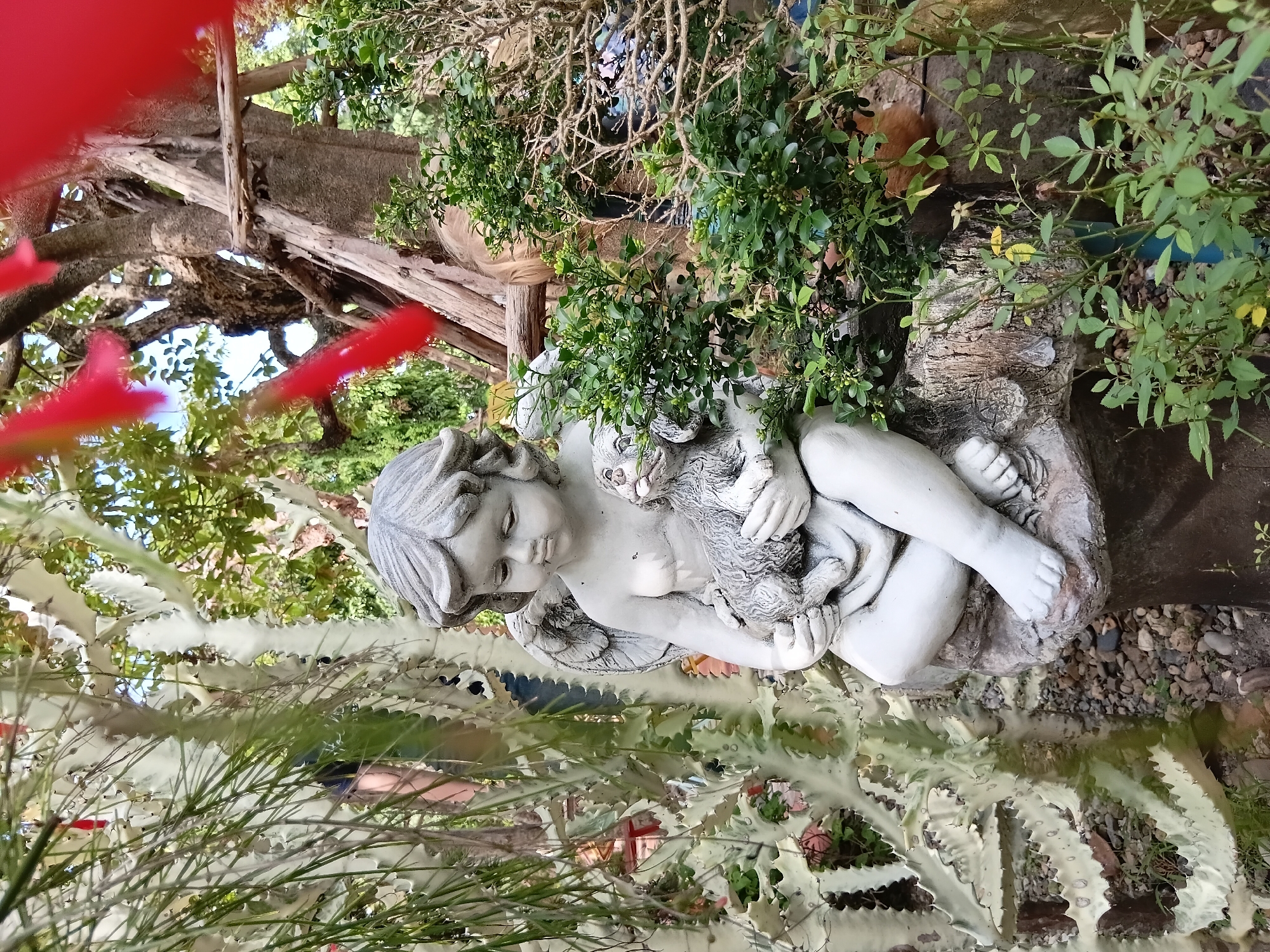 In Ban Tong, Thailand, a statue of a cherub holding a dog sits on a rock in a garden. The cherub is made of grey stone and has wings. It is dressed in a simple tunic and is holding a small dog in its arms. The dog is also made of grey stone and is depicted with its mouth open. The statue is surrounded by lush green plants and trees. In the background, a large tree with exposed roots stands tall. There are also some red flowers hanging from branches, adding a splash of color to the scene. The ground is covered with pebbles and small stones. The lighting suggests it is daytime, with sunlight filtering through the leaves of the trees.
