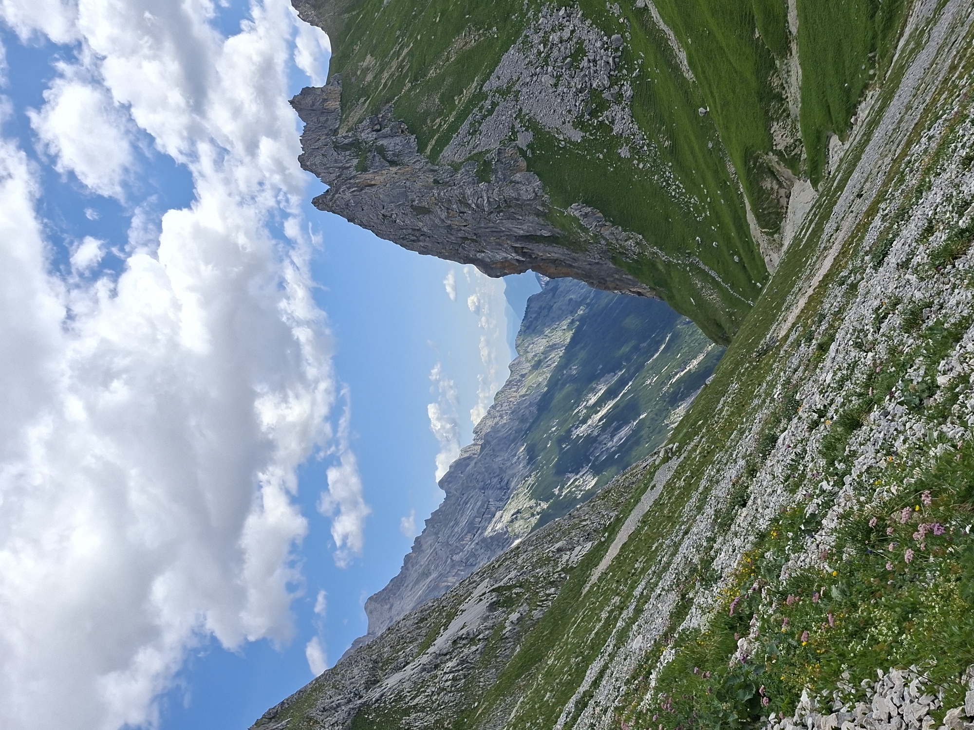 This is a vertical, medium shot image of a mountain landscape in the city of Wildermieming, Austria. The foreground is dominated by a steep, rocky slope covered in sparse green grass and wildflowers, predominantly pink and white. The slope angles from the lower left to the upper right. Further up the slope, the terrain transitions to steeper, rocky inclines.
To the right, a dramatic, sheer rock face with sharp, jagged peaks rises vertically. This rock face is partially covered in green grass. Below this prominent peak, a gentler, grassy slope descends into a valley.
In the background, a deep valley opens up, revealing layers of receding mountain ranges under a bright blue sky. The sky is scattered with fluffy white clouds. The overall impression is of a rugged, natural mountain environment bathed in sunlight. No people are visible in the image.