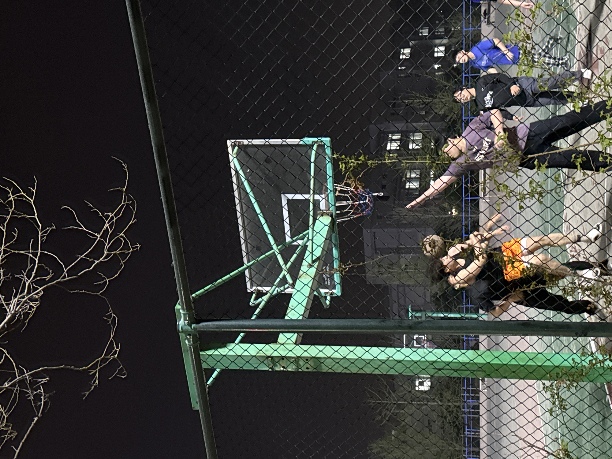 This image captures an outdoor basketball court at night in Zhongtun, China, viewed through a chain-link fence. The fence, dark and prominent, covers the entire foreground, creating a diamond pattern across the scene. To the far left, a network of bare tree branches is silhouetted against the dark night sky.
In the mid-ground, a green basketball hoop and backboard assembly stands out. On the green-surfaced court, several individuals are engaged in what appears to be a basketball game or practice. One person in a purple shirt is visible with an arm extended, possibly shooting or reaching. Behind them, another person wears a black hoodie, and further back, a person in a blue shirt and plaid pants is seen. Closer to the foreground, two players are actively involved, one in a black top and orange shorts, and another in a black top, interacting near the fence line.
In the background, multi-story buildings with numerous illuminated windows suggest an urban setting. The overall atmosphere is that of an active nighttime sporting event. No discernable text is visible on any subjects or objects.