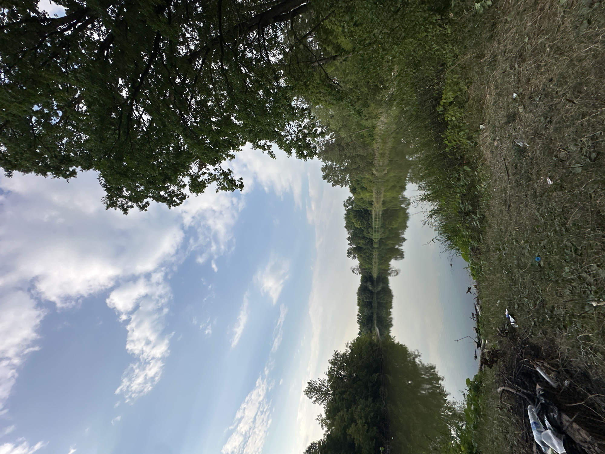 The image depicts a serene natural scene by a body of water, likely a lake or river, with lush green trees lining the banks. The sky is a soft blue, adorned with scattered white clouds that are partially reflected on the still surface of the water. The foreground shows a grassy area with some scattered debris, including plastic bottles and branches, suggesting human presence or recent activity. The overall atmosphere is tranquil and picturesque, characteristic of a park or a natural reserve within or near the city of Makiv, Ukraine.