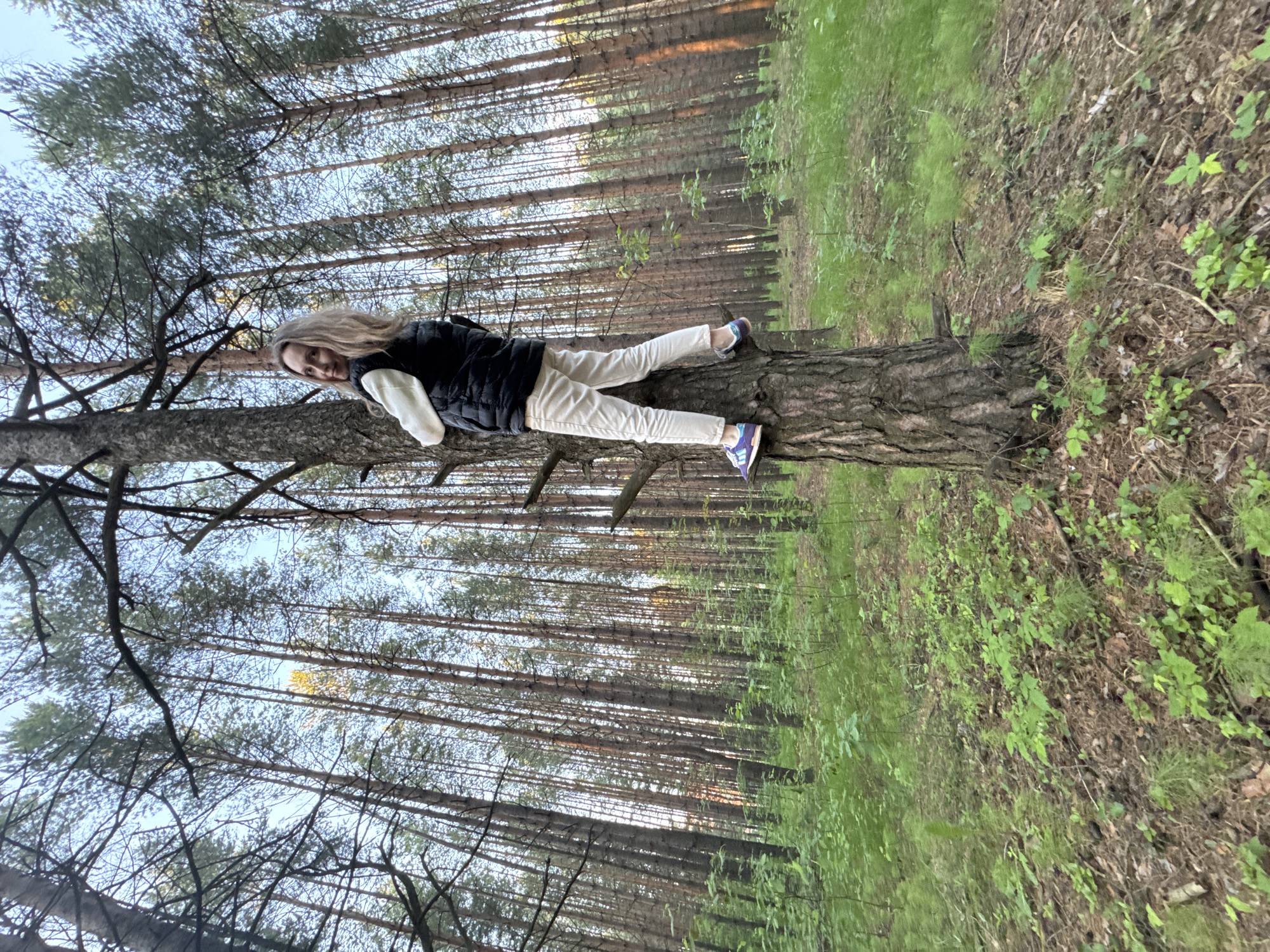 A young adult female is depicted lying horizontally on the trunk of a large, fallen or leaning pine tree in a dense forest. She has long, wavy blonde hair and is wearing a black puffer vest over a white long-sleeved top, light-colored pants, and purple and white sneakers. Her body is stretched along the tree trunk, with her back against the tree, and she is looking towards the camera with a faint smile.
The setting is a pine forest, consistent with the location of Chaikovsky, Russia. Numerous tall, slender pine trees with dark, rough bark create a natural canopy, with parts of a clear, light blue sky visible between their branches. The forest floor is covered with a mix of green grass, various undergrowth, and fallen pine needles and leaves. The light suggests it is daytime, possibly late afternoon, with soft, natural illumination. There is no visible text in the image.