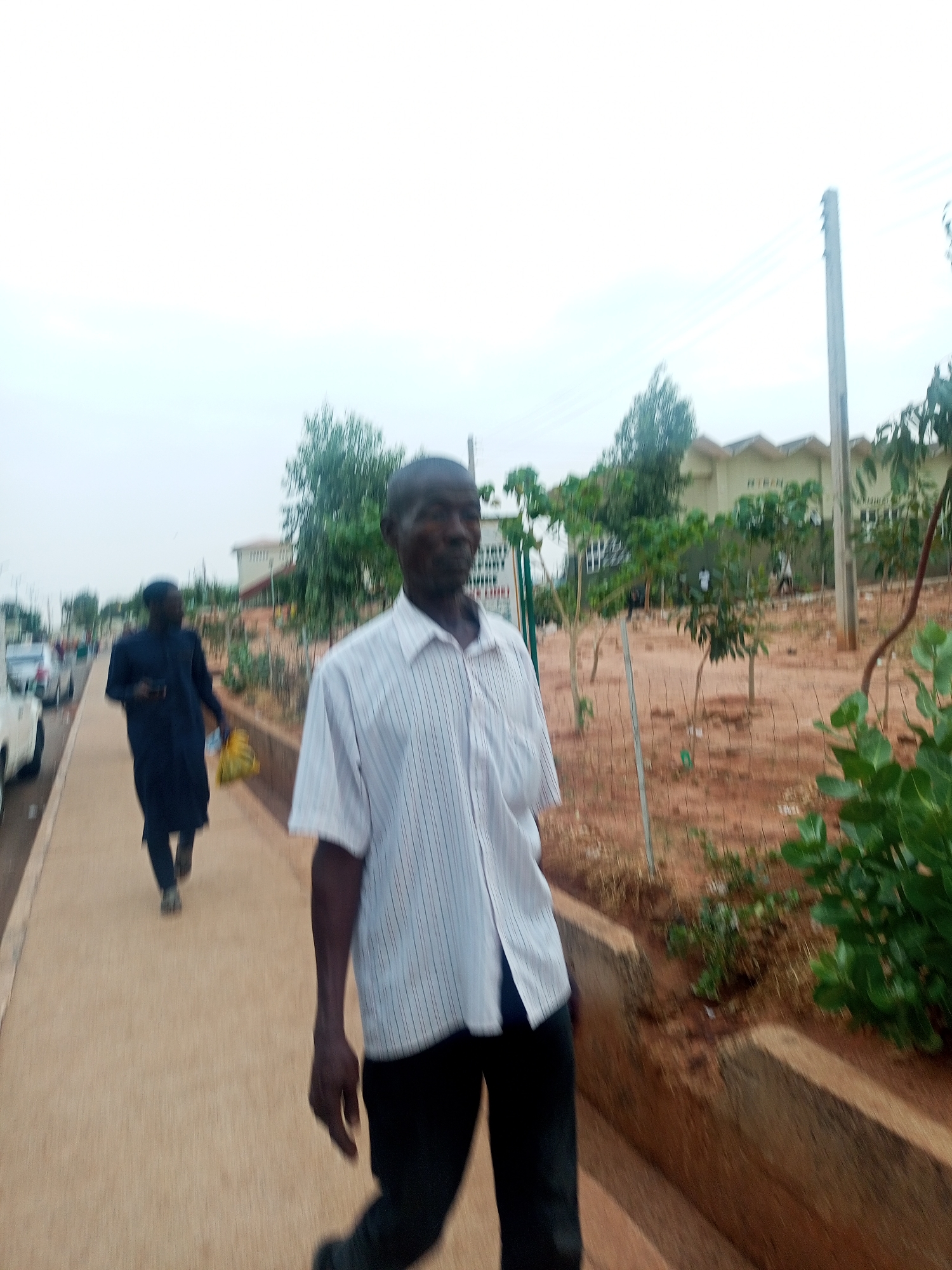 A slightly blurred medium outdoor shot depicts two people walking on a sidewalk next to a street in what appears to be a residential area. The primary subject is an older man in the foreground, wearing a light-colored, short-sleeved, striped shirt and dark pants. He is positioned at the right side of the image, facing forward and slightly towards the camera.
In the background, a second person is walking on the same sidewalk, moving in the same direction. This person is dressed in a dark-colored, long-sleeved garment.
To the left of the sidewalk, cars are parked along the street. A brown concrete curb separates the sidewalk from a raised dirt area. A sparse arrangement of thin trees is visible in the dirt area. Further in the background, buildings can be seen. Overhead power lines and poles are visible as well.
The sky is overcast and the lighting suggests that it is daytime. The location is in the city of Unknown, Unknown.