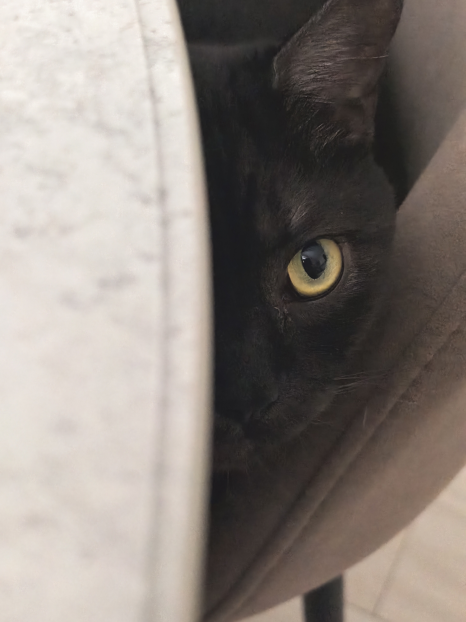 A close-up, portrait-oriented image features a black cat partially concealed by a light-colored object on the left. The cat's head fills the right side of the frame, emerging from the shadows. Its sleek, very dark fur blends into the background, with features becoming discernible closer to the center.
The most prominent detail is the cat's left eye (from the viewer's perspective), which has a vivid golden-yellow iris and a slender black, vertical pupil. A small, bright reflection is visible in the pupil, indicating a light source. The area immediately around the eye, including part of the snout and cheek, shows hints of fine fur texture. Above the eye, a dark ear with fine hair is visible, angled slightly backward.
The object to the left, which the cat is peeking from behind, appears to be a soft, upholstered surface, possibly a light beige or off-white cushion or the back of a chair. It has a slightly rounded, vertical edge defining the left boundary of the cat's hiding spot. The background behind the cat is dark and indistinct, suggesting shadow or a further recessed area.
The overall impression is one of a curious or observant cat, cautiously peeking out from its hiding place. The lighting emphasizes the cat's eye and the texture of the surrounding fur, creating a sense of intimacy and focus. There is no visible text in the image.