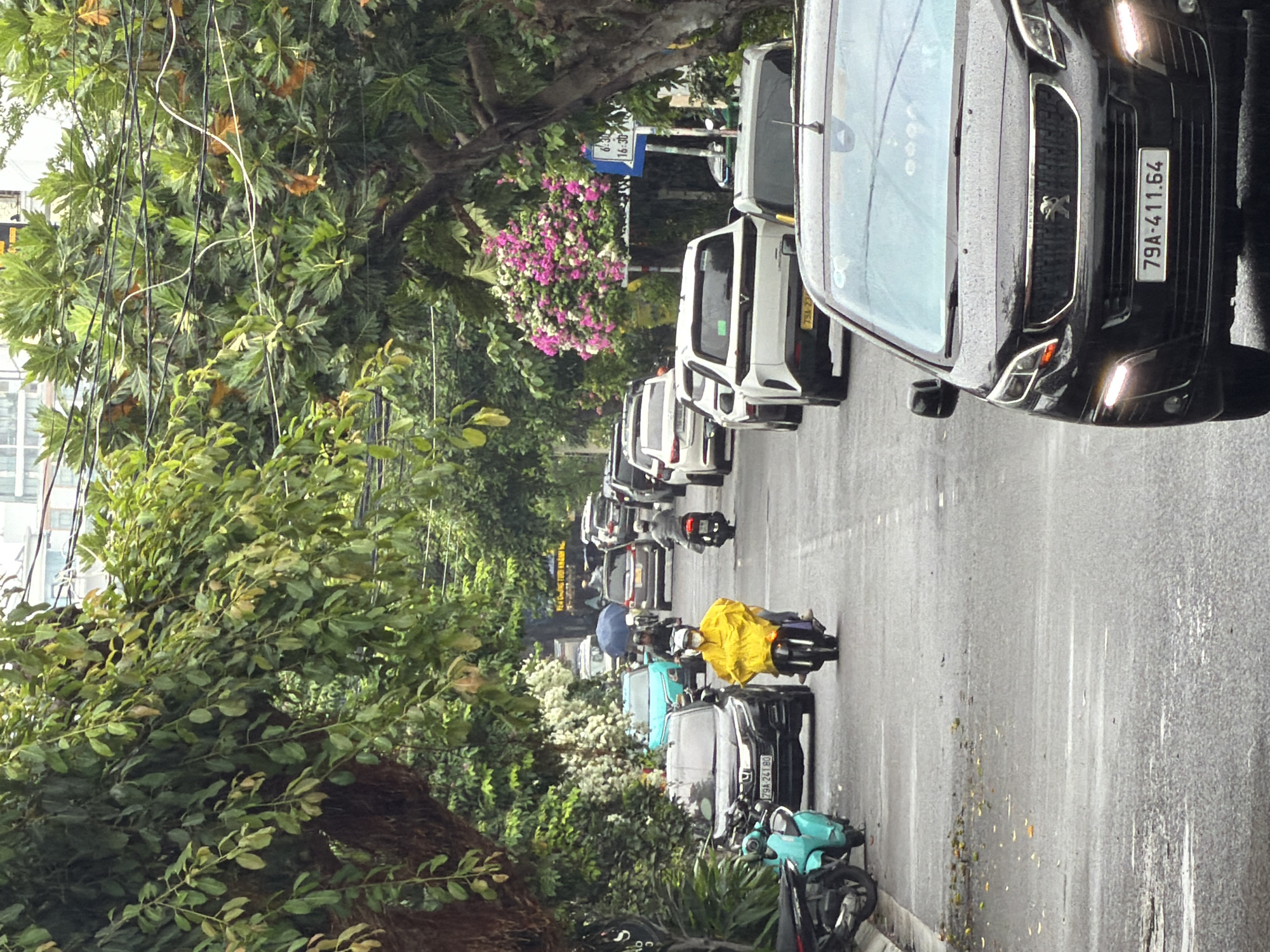 This image depicts a traffic scene on a wet, asphalt road in Nha Trang, Vietnam. Lush green trees with dense foliage line both sides of the street, with flowering pink and white bushes visible on the right. Several vehicles are present, including a black Peugeot SUV in the foreground with license plate "79A-411.64". Behind it, a line of cars and motorcycles are moving or stopped in traffic. A person in a bright yellow raincoat rides a motorcycle, followed by other motorcycles and cars, including a turquoise car and several white SUVs. A blue umbrella is visible in the distance. Traffic signs are posted on poles. The sky appears overcast, suggesting recent or ongoing rain.