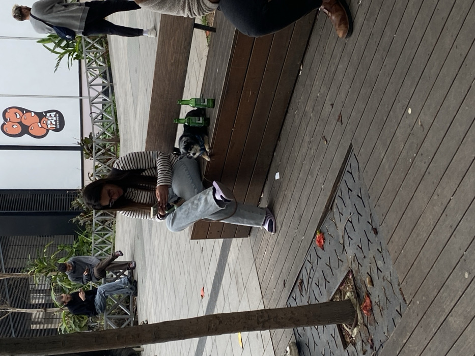 The image depicts an outdoor pedestrian area, identified as **Sarona Market in Tel-Aviv, Israel**, based on the visible "ריחות וטעמים" (Smells and Tastes) branding on a large white sign in the background.
In the foreground, a woman with dark hair and glasses, wearing a striped long-sleeve shirt, light-wash jeans, and purple and white sneakers, is seated on a wooden bench. She is actively viewing a smartphone held in both hands. To her right, on the same bench, a small dark-colored dog, possibly a Chihuahua mix, with a blue collar, is resting. Two green glass bottles, consistent with beer bottles, stand upright on the bench near the dog. A dog leash is visible, draped over the woman's left leg. A second person, partially visible on the far right of the bench, wears dark pants and brown lace-up shoes.
In the mid-ground, a paved walkway separates the wooden decking from a landscaped area with metal benches and greenery. Two men are seated on a metal bench, both looking down at their respective smartphones. Further back, a third man, wearing a light grey top and dark pants with a shoulder bag, is seen walking away from the camera.
The ground surface in the foreground consists of wooden decking. A tree trunk emerges from a metal grate within the decking on the left side of the frame. Scattered red-orange petals and small pieces of white debris are visible on the decking and around the tree base. A dark-colored, modern building is visible in the background. The scene is illuminated by natural light, suggesting an overcast or diffused sunny day.