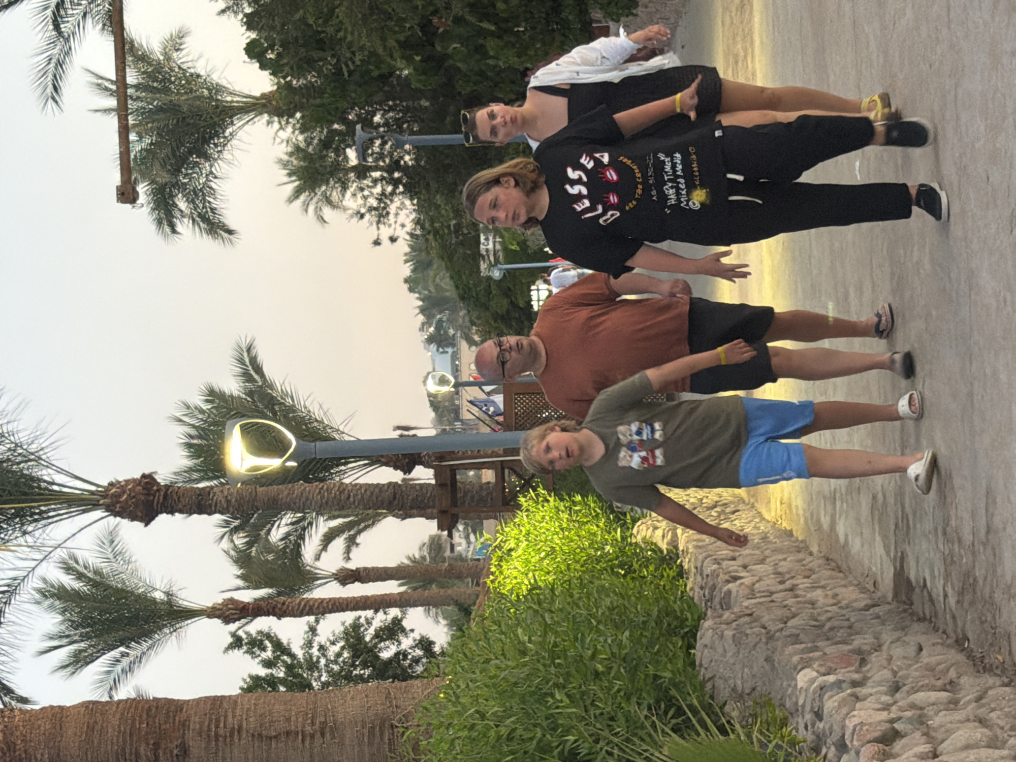 In Sharm El Sheikh, Egypt, a group of four individuals is walking on a paved pathway lined with a stone wall and lush green bushes. The pathway appears to be a pedestrian walkway in a tropical or sub-tropical environment, characterized by the presence of palm trees and a warm, hazy sky.
On the left, a young boy with blonde hair is walking, wearing a green t-shirt with a graphic print and blue shorts. To his right and slightly behind him, a man with glasses, wearing an orange t-shirt and black shorts, is walking. Next to the man, a young girl with blonde hair is walking, dressed in a black t-shirt with text and graphics, and black pants. To the far right, a woman with dark hair, wearing a black dress and a white open shirt, is walking. The group is moving in the same direction, suggesting they are together.
The environment is illuminated by the warm glow of a streetlight, and the overall lighting suggests it is late afternoon or early evening. The background includes more palm trees, some buildings or structures, and a clear sky. The scene captures a casual moment of people walking through a scenic outdoor area in Sharm El Sheikh.