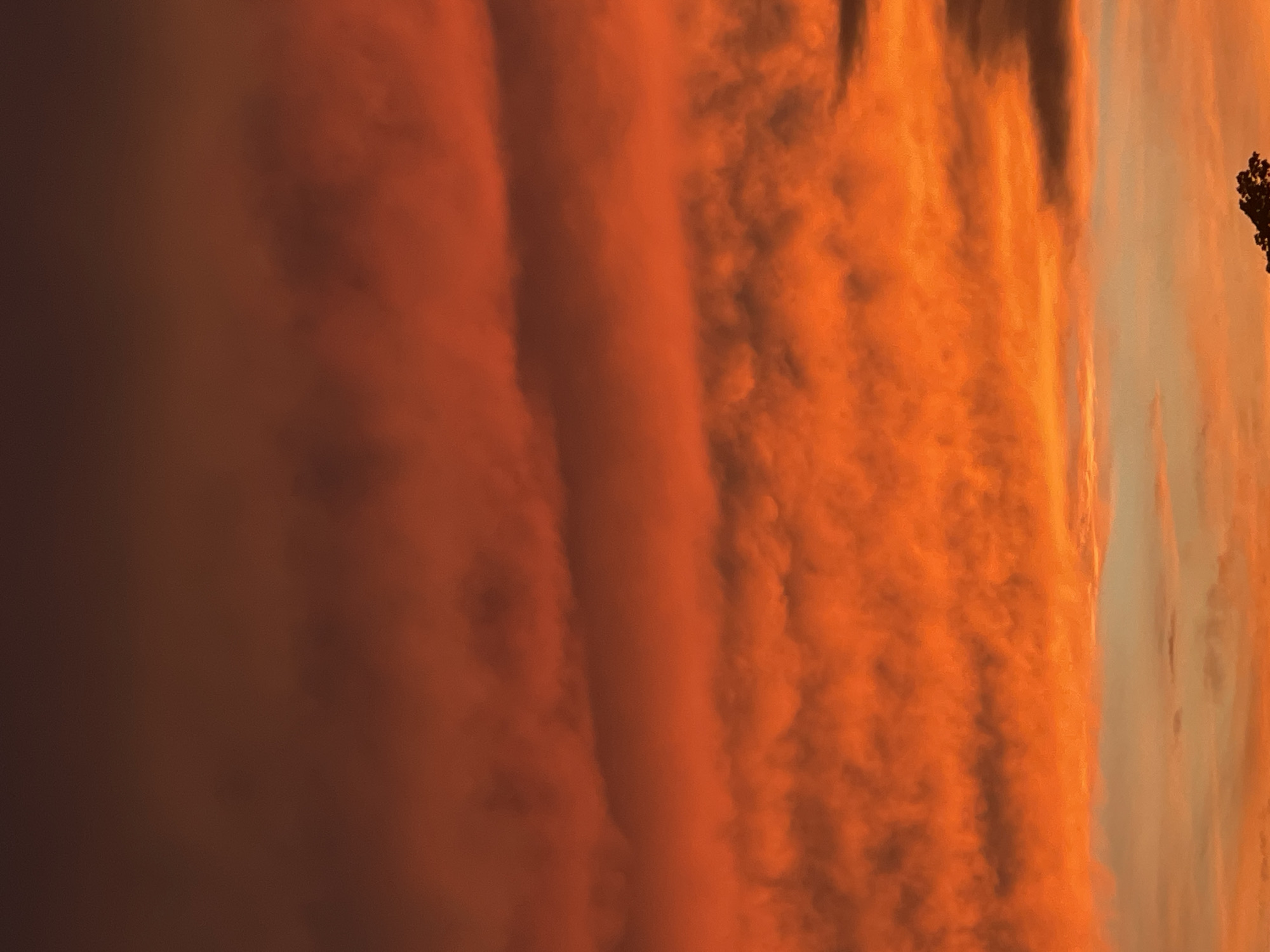 This is a photograph of a vibrant sunset over Bluewater, Canada. The sky is filled with dramatic, fiery clouds in shades of orange, red, and deep maroon. Wispy clouds are layered horizontally across the frame, catching the light and creating a textured, almost molten appearance. The colors transition from a dark, deep red at the top of the image to brilliant oranges and yellows lower down. A sliver of lighter, softer sky with hints of pale orange is visible at the very bottom, where a dark silhouette of tree branches can be seen. There are no people, subjects, objects, or actions depicted, besides the natural phenomenon of the sunset.