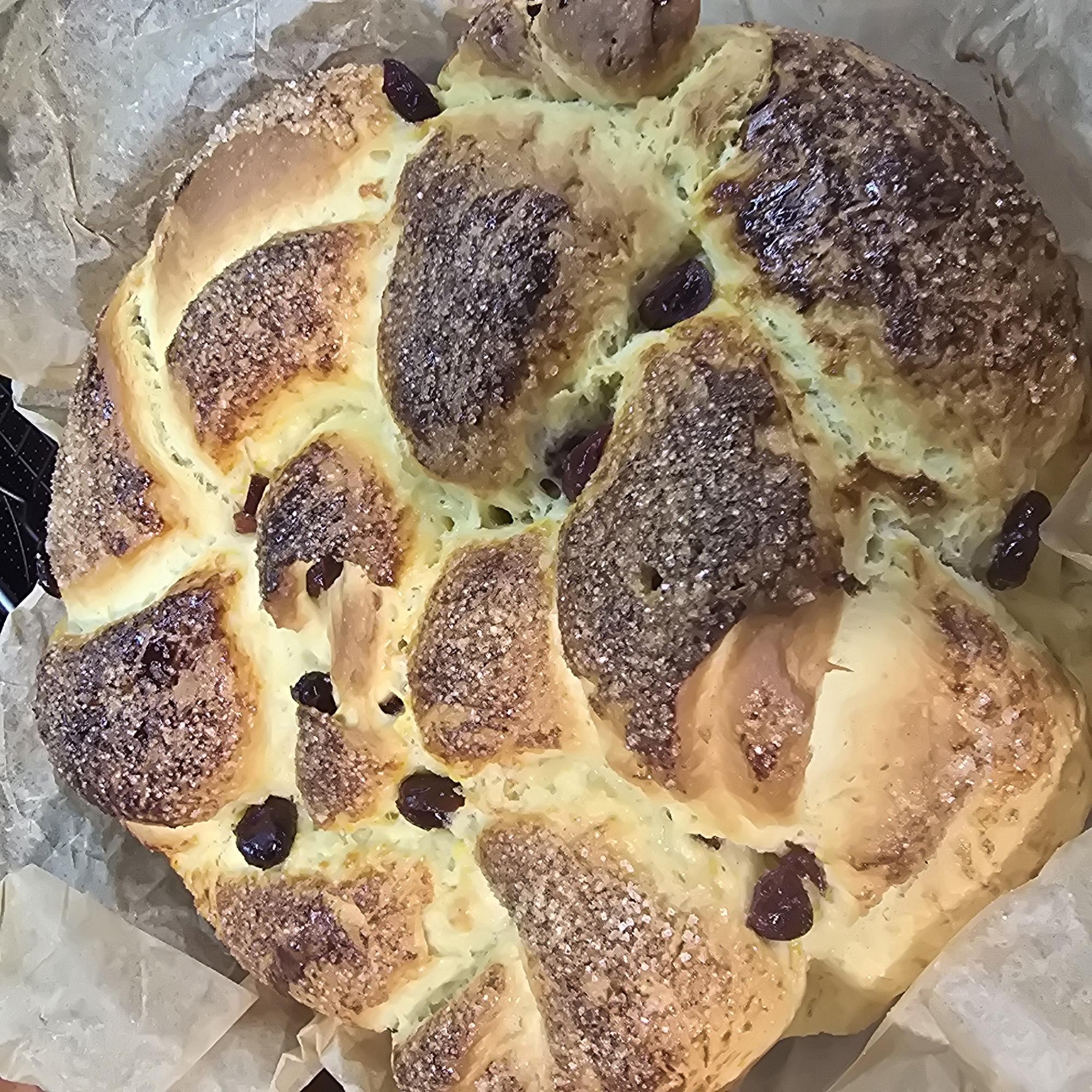 The image shows a round, braided sweet bread called "Kozunak," a traditional Bulgarian Easter bread. The kozunak is baked in a round shape, with a golden-brown crust decorated with coarse sugar crystals. Dark raisins are visible throughout the bread. The bread sits on crumpled baking paper inside a metal pan.
There is no information in the image to indicate that it was taken in Plovdiv, Bulgaria. Therefore, I cannot confirm the location.
