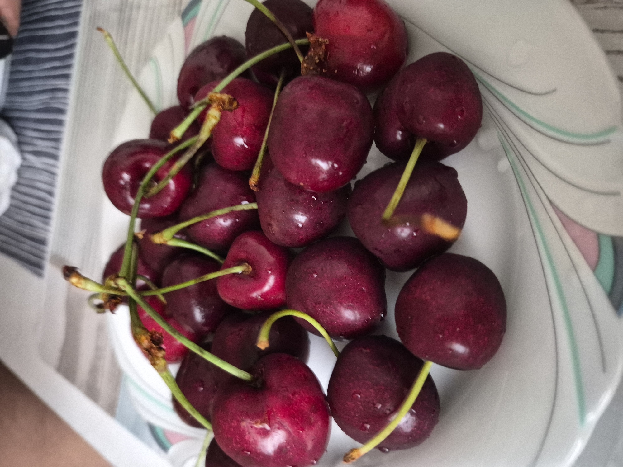A close-up, overhead shot displays a plate filled with ripe, dark red cherries. The cherries have a glossy sheen, indicating they are fresh and possibly wet, with some visible water droplets. Many of the cherries are still attached to their green stems, some of which are slightly brown and dry at the ends. The plate itself is white with a decorative swirling pattern of light blue, green, and pink lines along its rim. In the background, a striped fabric is visible, and a person's arm and hand are partially in view at the top left of the image, suggesting the plate of cherries is being presented or enjoyed. The lighting suggests an indoor setting, possibly a kitchen or dining area.