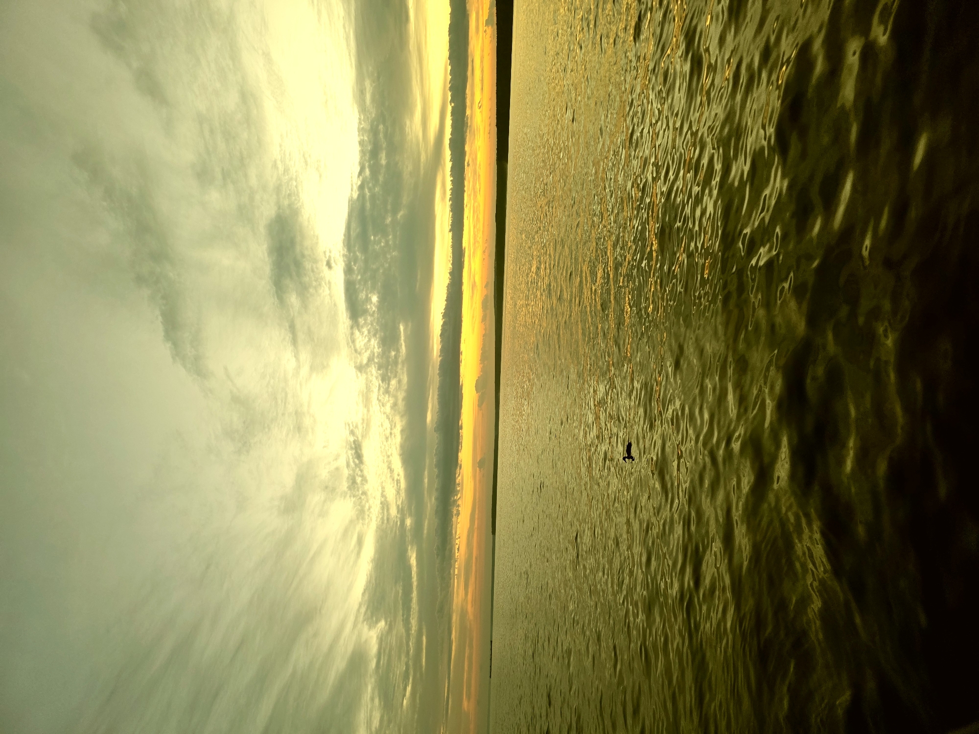 The image depicts a body of water, likely a river or lake, with a sunset or sunrise sky. The sky is filled with wispy clouds in shades of yellow and gray, with a bright band of orange and yellow near the horizon. The water is a muted green color, reflecting the sky. A single dark silhouette of a bird is visible on the surface of the water, near the center of the frame. In the distance, a thin dark line suggests a landmass or treeline along the horizon. The overall impression is one of a serene, natural landscape. The scene is consistent with views of the Kama River in Chaikovsky, Russia, which is known for its scenic beauty, particularly during sunrise and sunset.