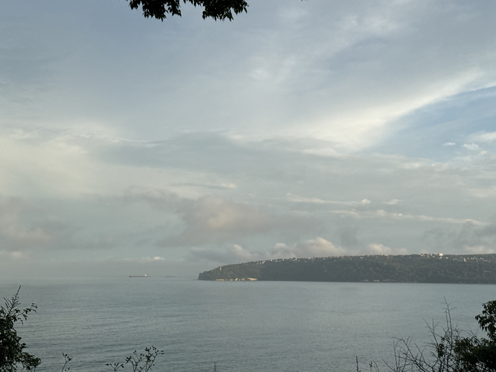 An expansive landscape shot captures a serene coastal scene under an overcast sky. In the immediate foreground, dark green foliage, including leaves and bare branches, frames the top and bottom edges of the image, suggesting the photo was taken from an elevated viewpoint through natural growth.
The central and most prominent feature is a calm body of grey-blue water, likely a sea or a large bay, stretching across the middle ground. On the distant horizon of the water, two large cargo ships are visible; one is clearer and positioned towards the left, while the other is fainter and further to the right.
Beyond the water, a long, low landmass extends across the entire width of the frame. This landmass is densely covered with dark green vegetation, appearing as wooded hills or cliffs. Along the top edge of this distant land, numerous small, light-colored buildings are scattered, indicating a settlement. A small, white structure, possibly a lighthouse or navigational beacon, can be seen on the outermost tip of the landmass, protruding into the water on the left side.
The sky above is filled with soft, diffused clouds ranging from light grey to white, with subtle hints of blue peeking through in some areas. The overall lighting is gentle, suggesting either early morning or late afternoon on a cloudy day. No human activity or specific people are visible. The scene evokes a sense of tranquility and vastness. There is no visible text in the image.