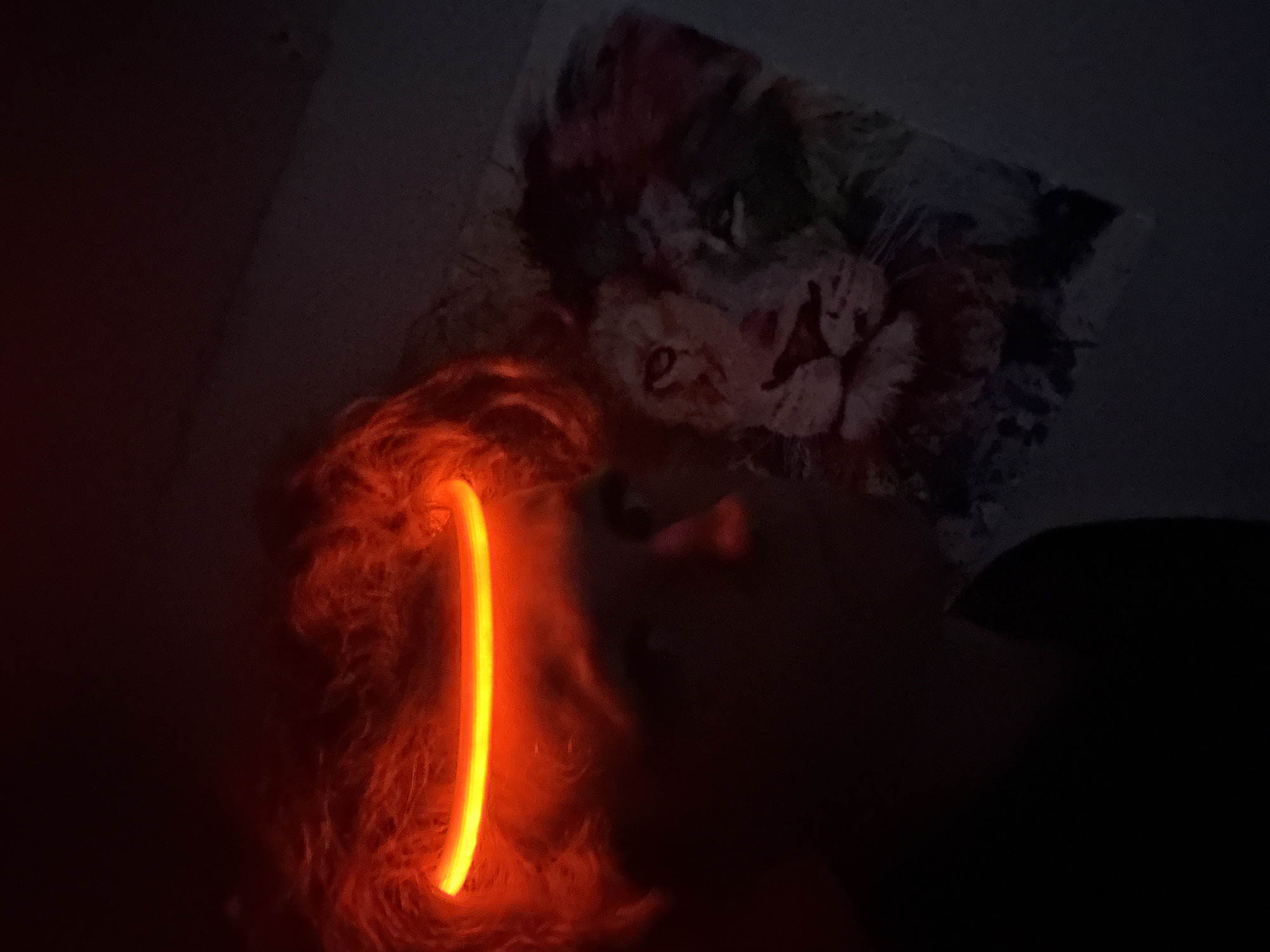 This dimly lit image captures an intimate indoor scene, likely at night or in a dark room. The primary subject is a person, likely a child or infant, whose face is partially visible on the right side, gently illuminated by a bright, vertical orange-yellow glowing tube or stick. The person's eye, part of the nose, and mouth can be discerned, nestled amidst what appears to be fluffy hair or soft bedding which also glows warmly.
Above the person and the glowing object, a colorful poster or painting is affixed to the wall. This artwork features a stylized, abstract depiction of a lion's face, rendered with a mix of vibrant hues including blues, pinks, and purples, contrasting with the overall darkness of the room.
The glowing object acts as the sole significant light source, casting a warm, soft glow on the immediate area while the rest of the room remains in deep shadow, creating a subdued and calm atmosphere. The scene suggests a quiet moment, possibly a child with a night light or a light-up toy. There is no visible text in the image, and while the location context is Chaikovsky, Russia, the photograph itself provides no specific visual cues to this geographic location beyond an interior setting.